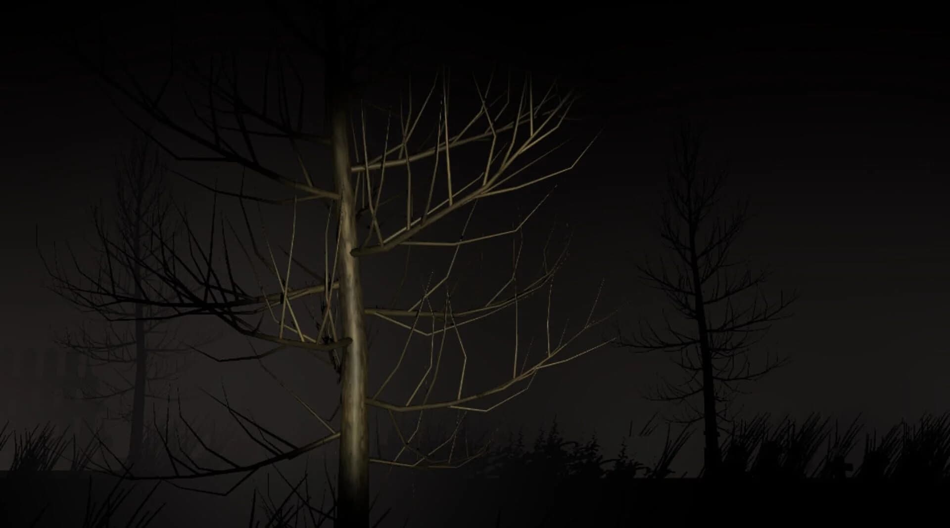 Mysterious Night: The First Night screenshot 1