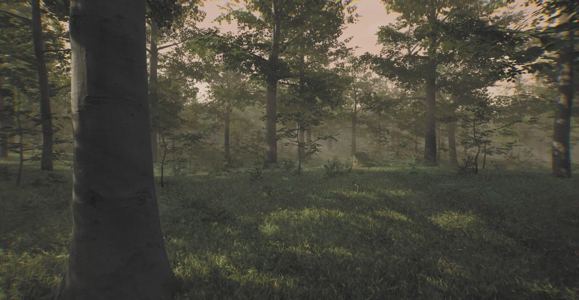 Mystery screenshot 4