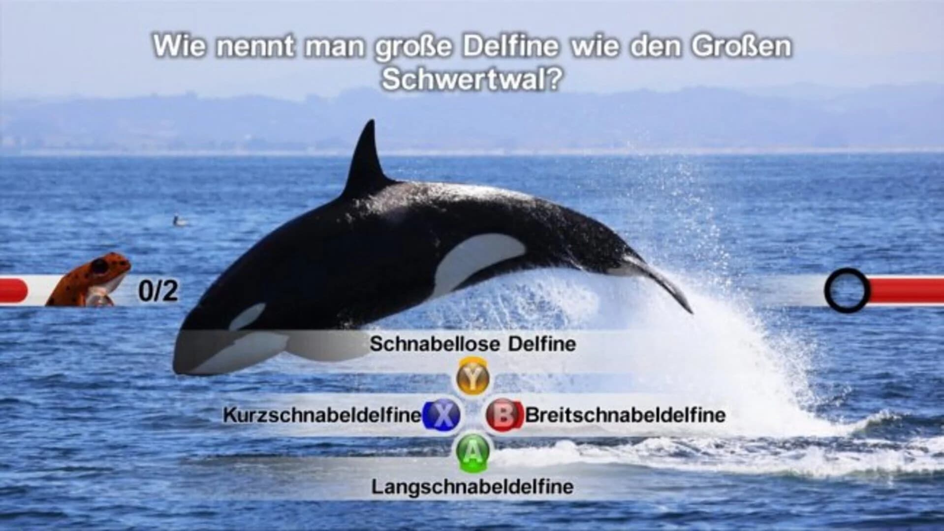 Nat Geo Challenge! Wild Life screenshot 1