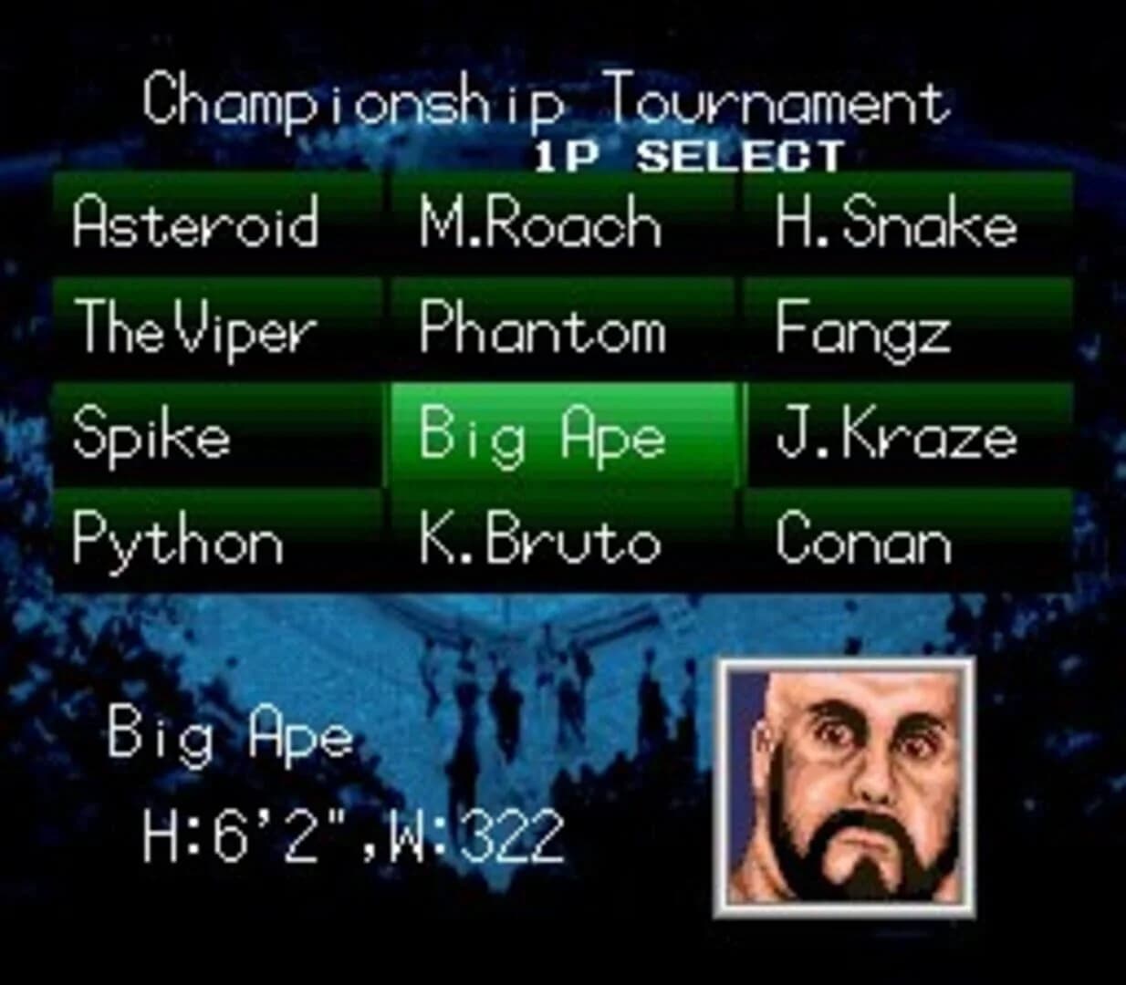 Natsume Championship Wrestling screenshot 4