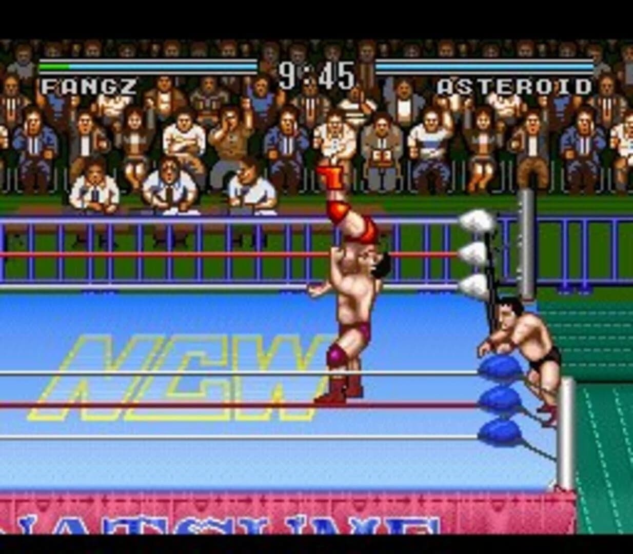 Natsume Championship Wrestling screenshot 1