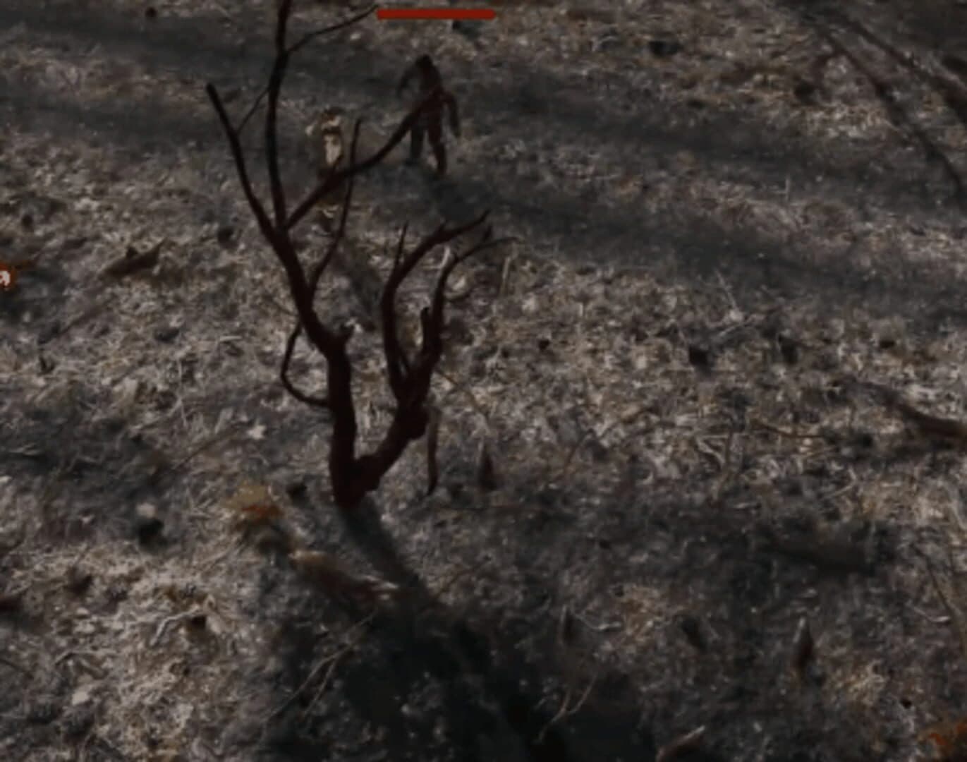 Natural Balance: Chronicles screenshot 1