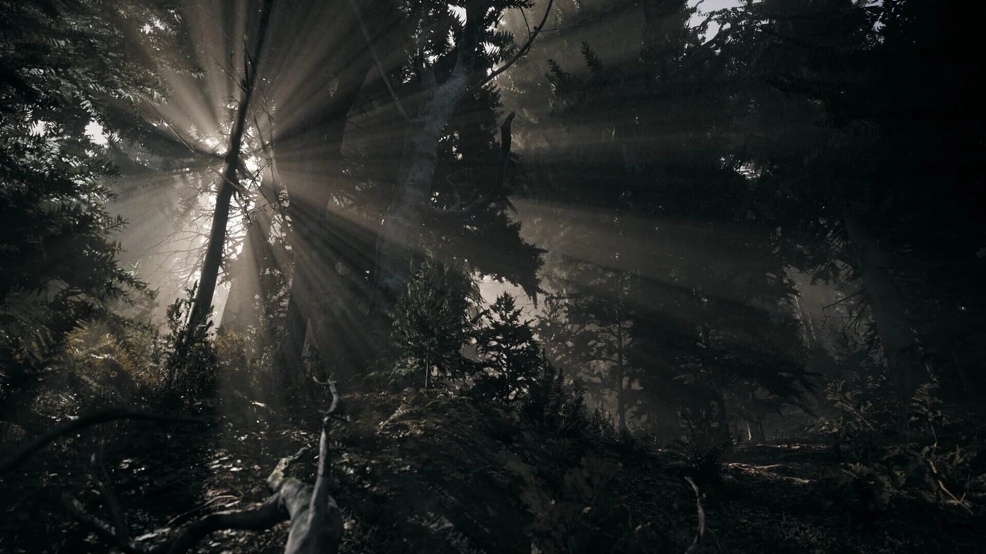 Nature of Dread screenshot 3