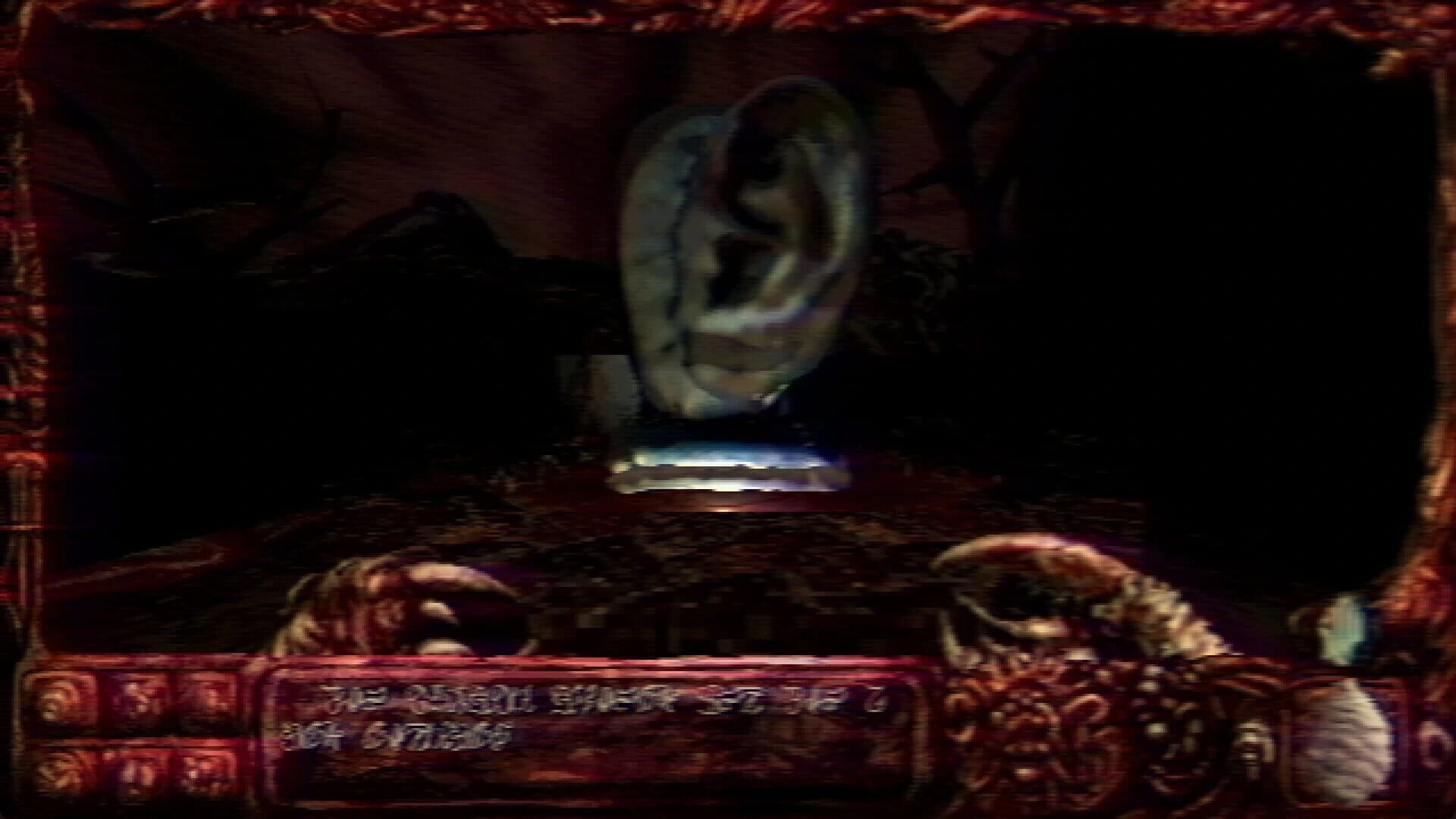 Navicula Meatus screenshot 4