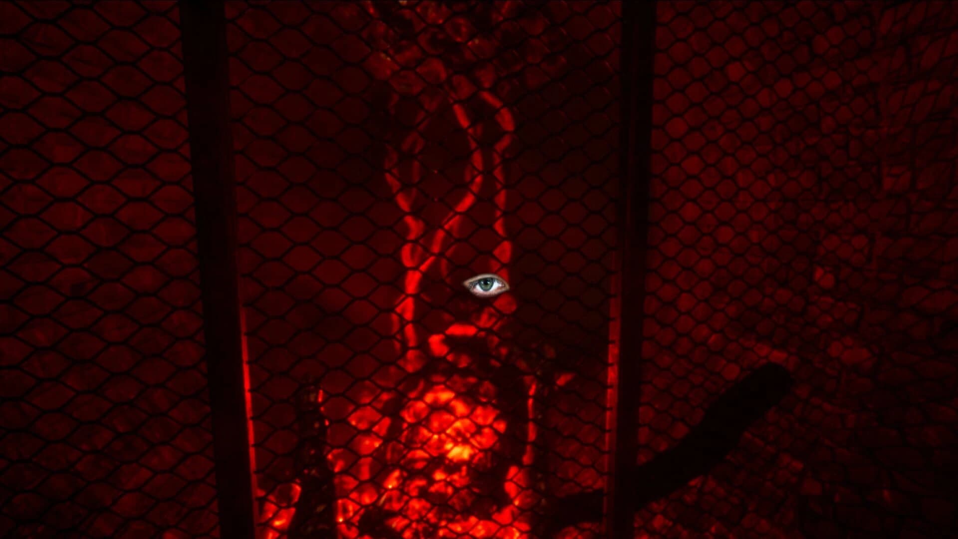 Nebraska screenshot 3