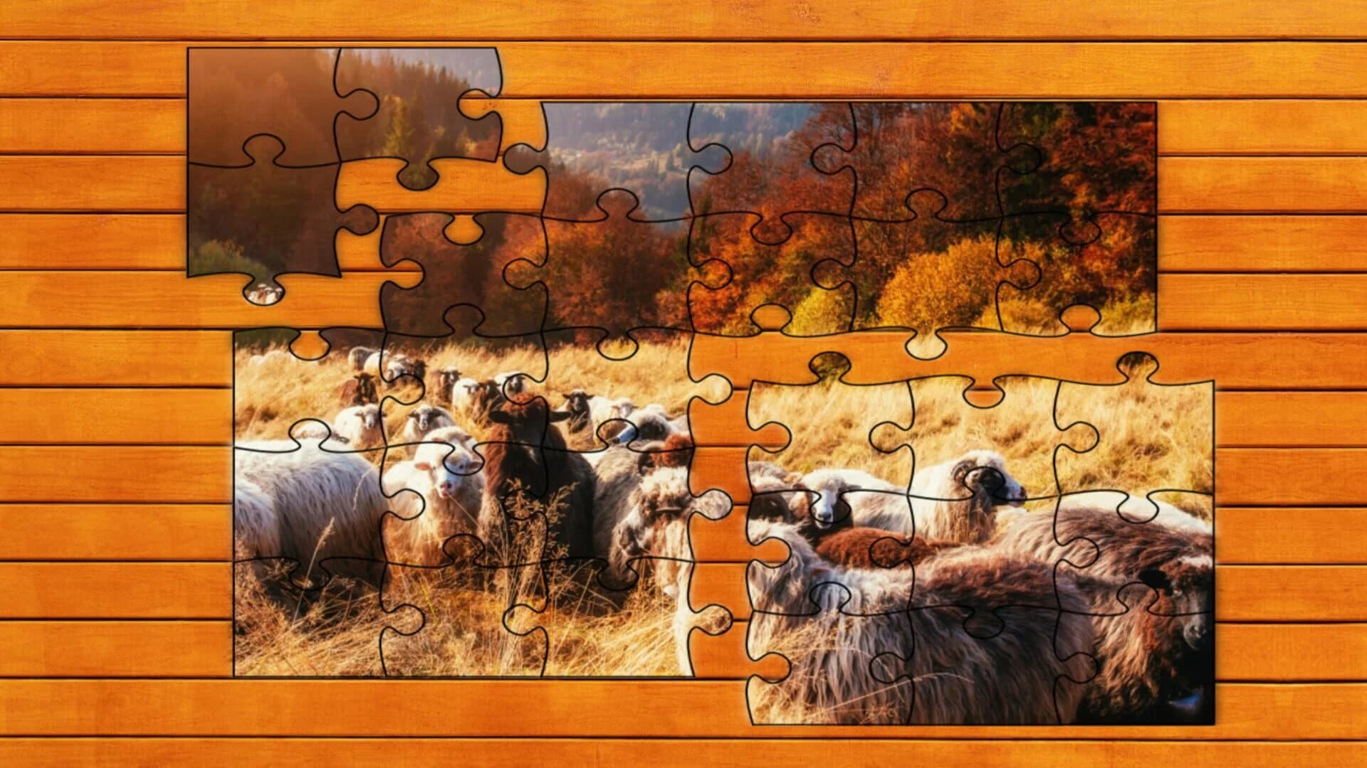 New Zealand Jigsaw Puzzles screenshot 1