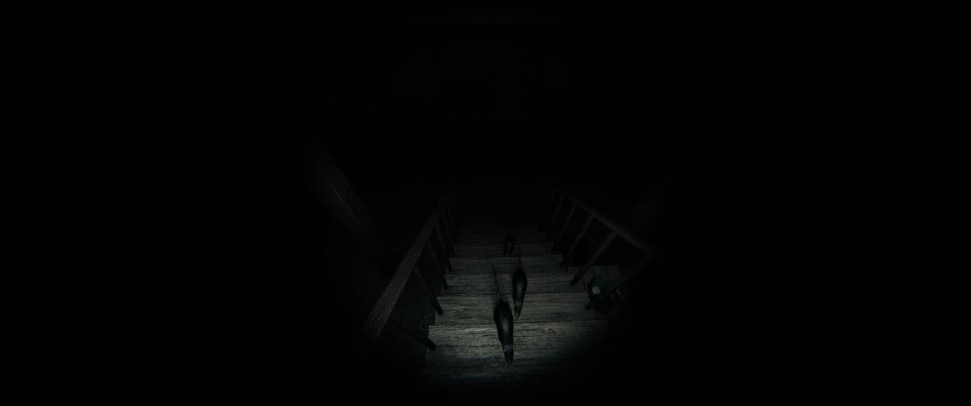 Night of the Wererat screenshot 3