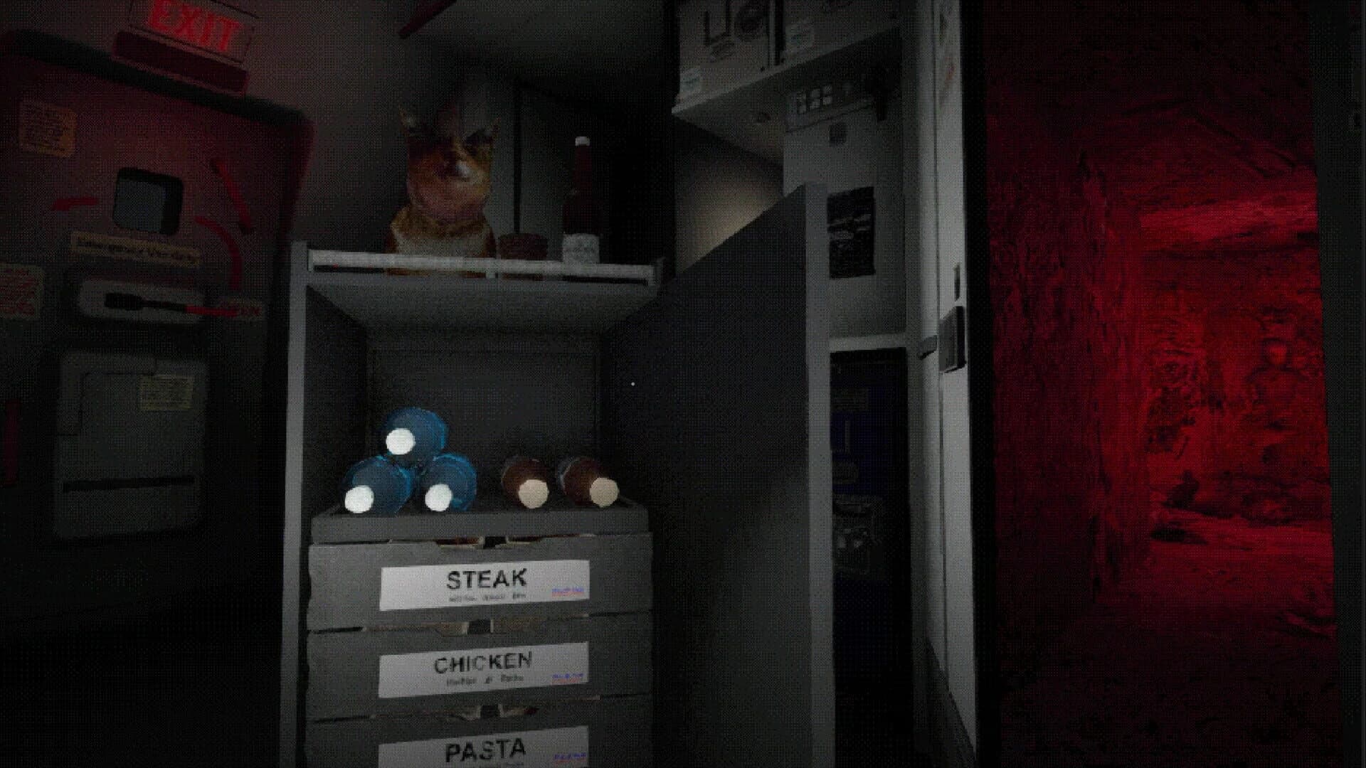 Night Plane screenshot 3