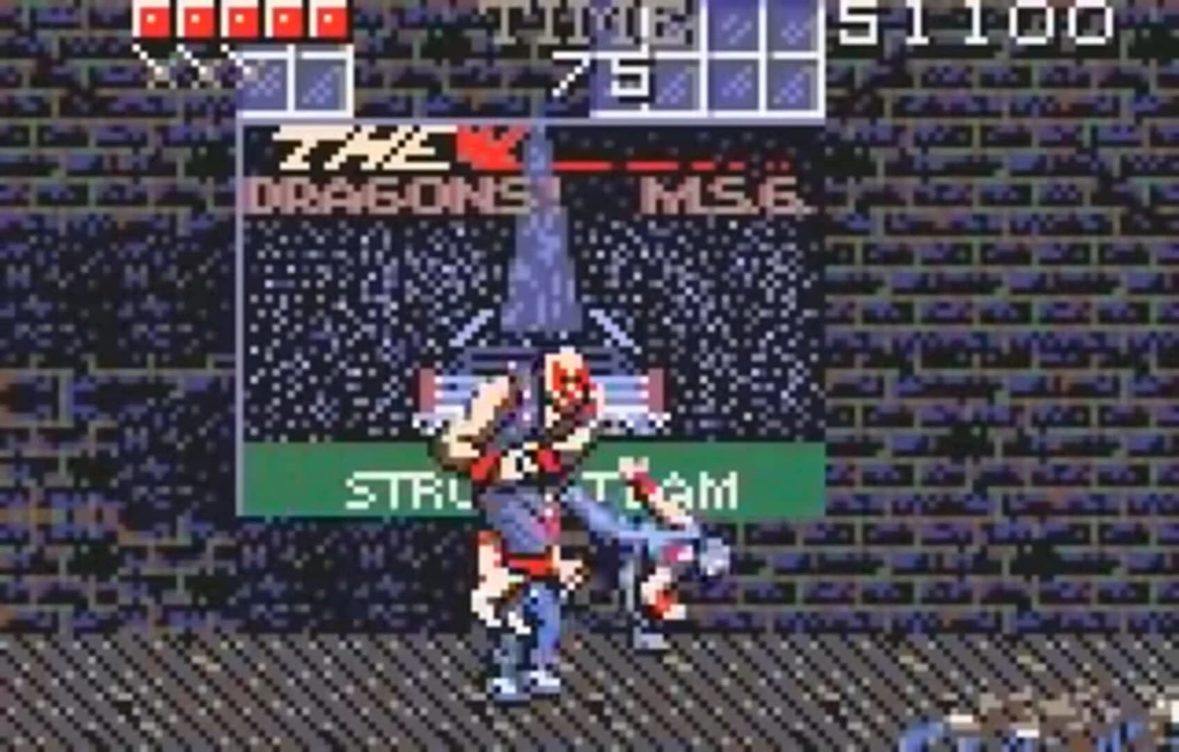 Ninja Gaiden screenshot 2