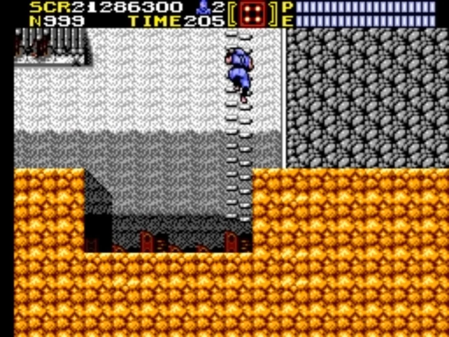 Ninja Gaiden screenshot 3