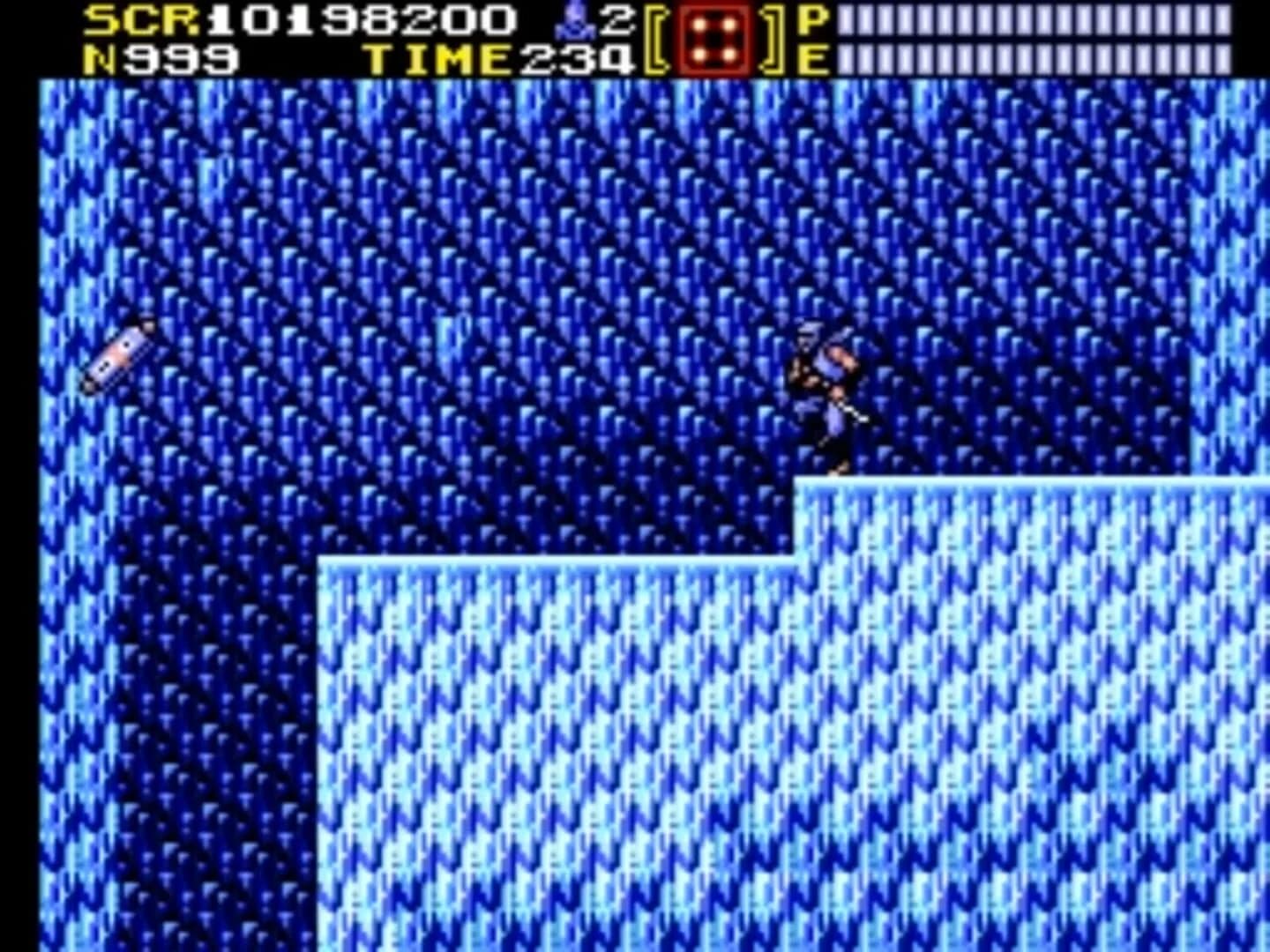 Ninja Gaiden screenshot 2