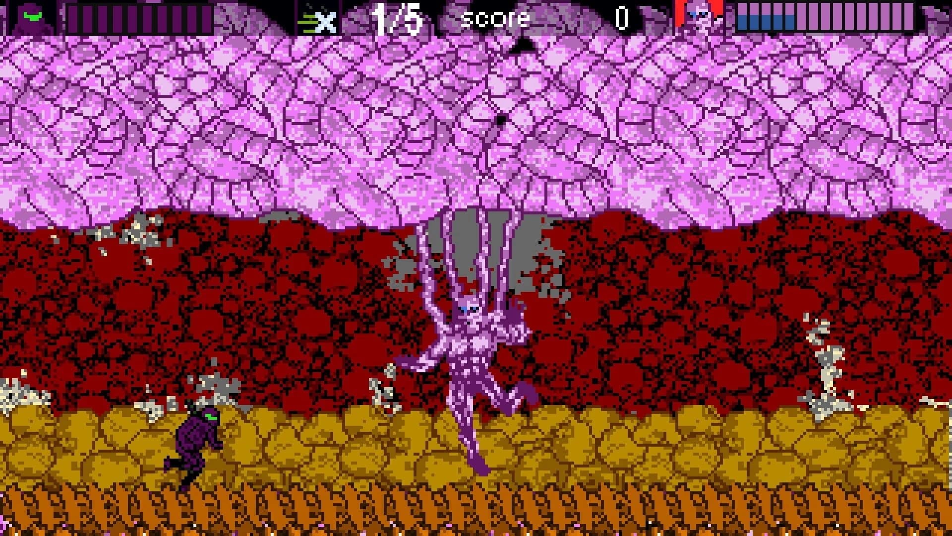 Ninja Roquinexu screenshot 2