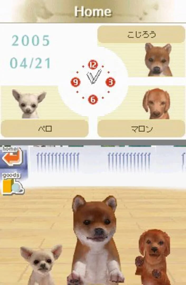 Nintendogs: Dachshund & Friends screenshot 1