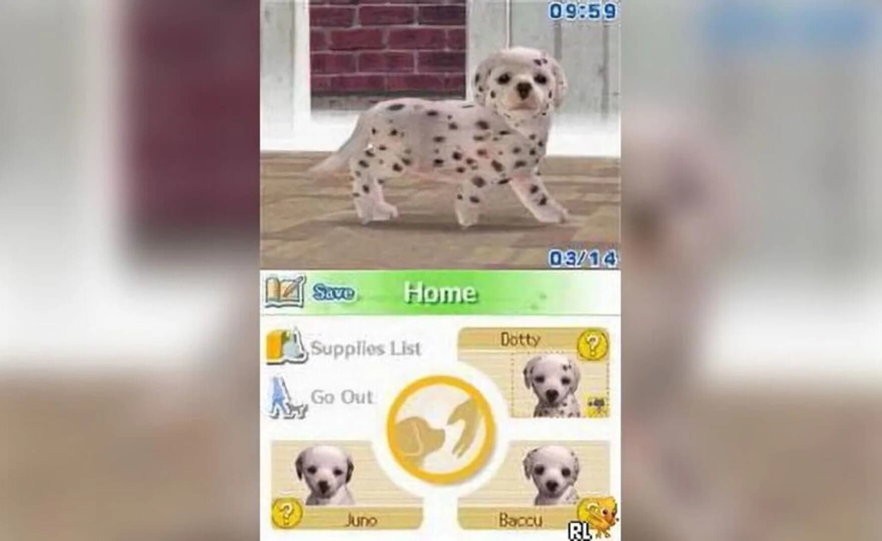 Nintendogs: Dalmatian & Friends screenshot 4