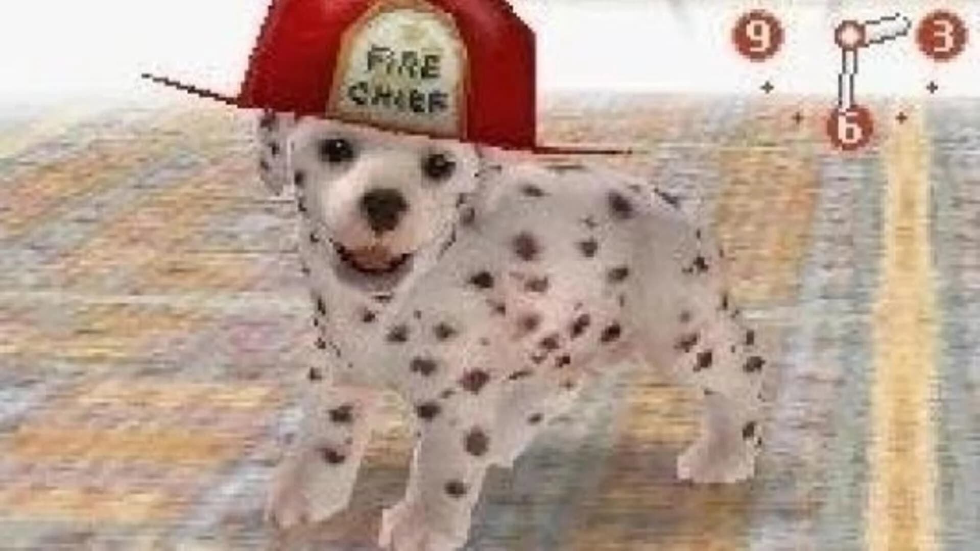 Nintendogs: Dalmatian & Friends screenshot 3