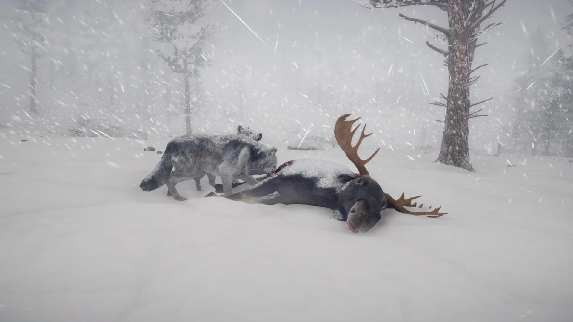 Northern Lights screenshot 2