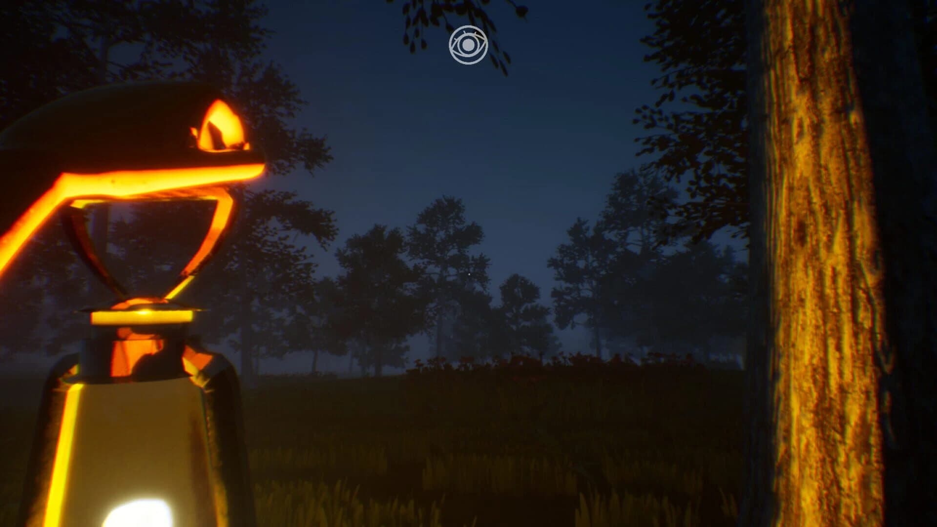 Nystagmus screenshot 4