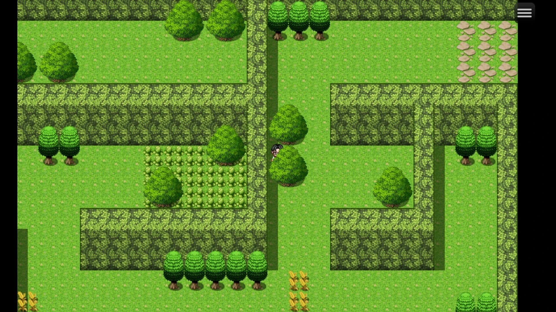 Oak Adventure the Maze screenshot 5