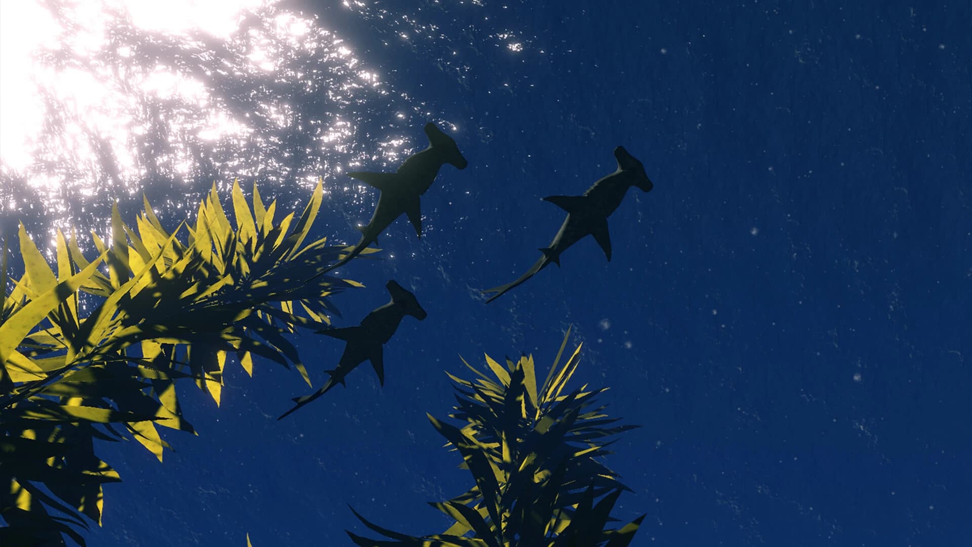 OceanScape screenshot 2