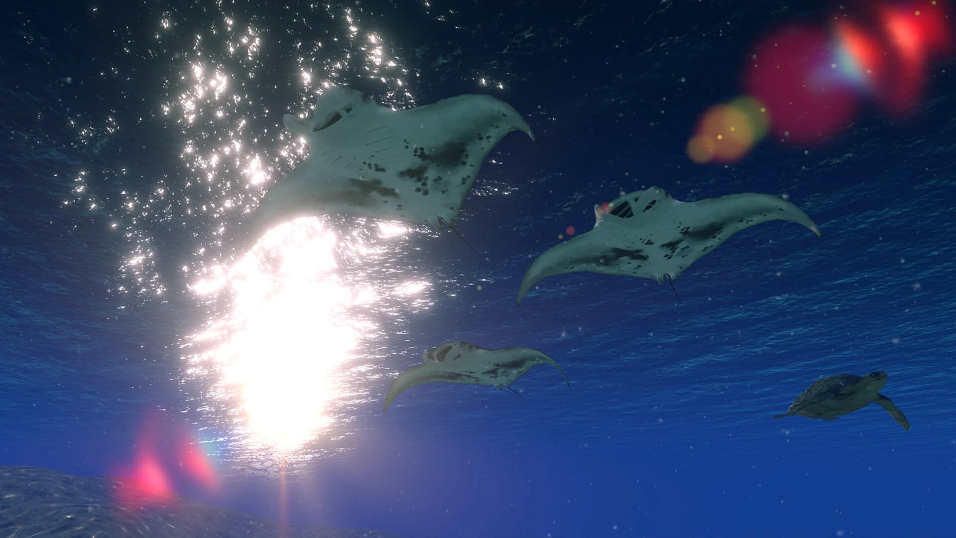 OceanScape screenshot 5