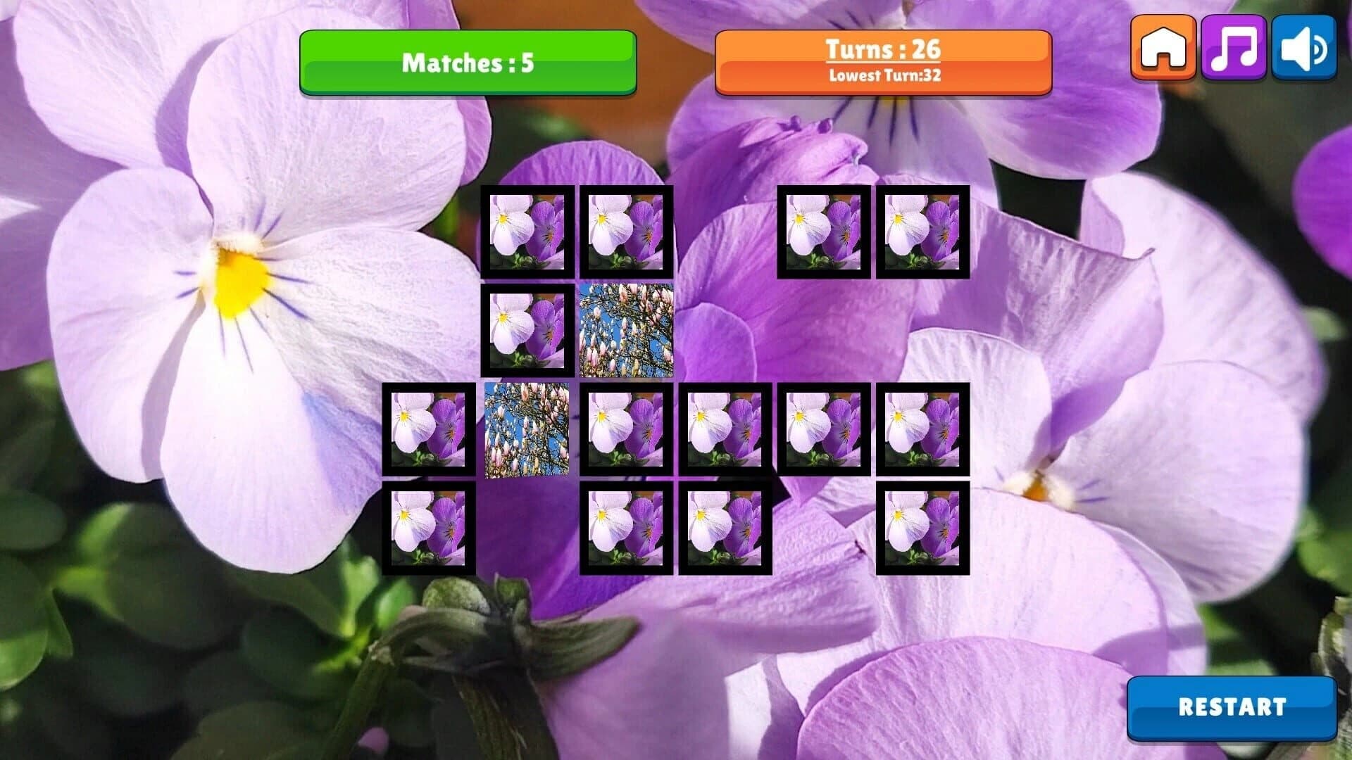 OG Memory: Spring 2K24 screenshot 3