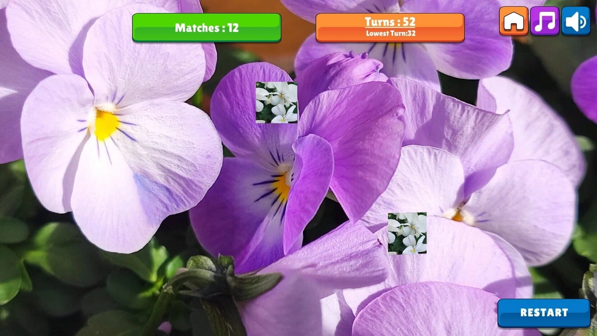 OG Memory: Spring 2K24 screenshot 1