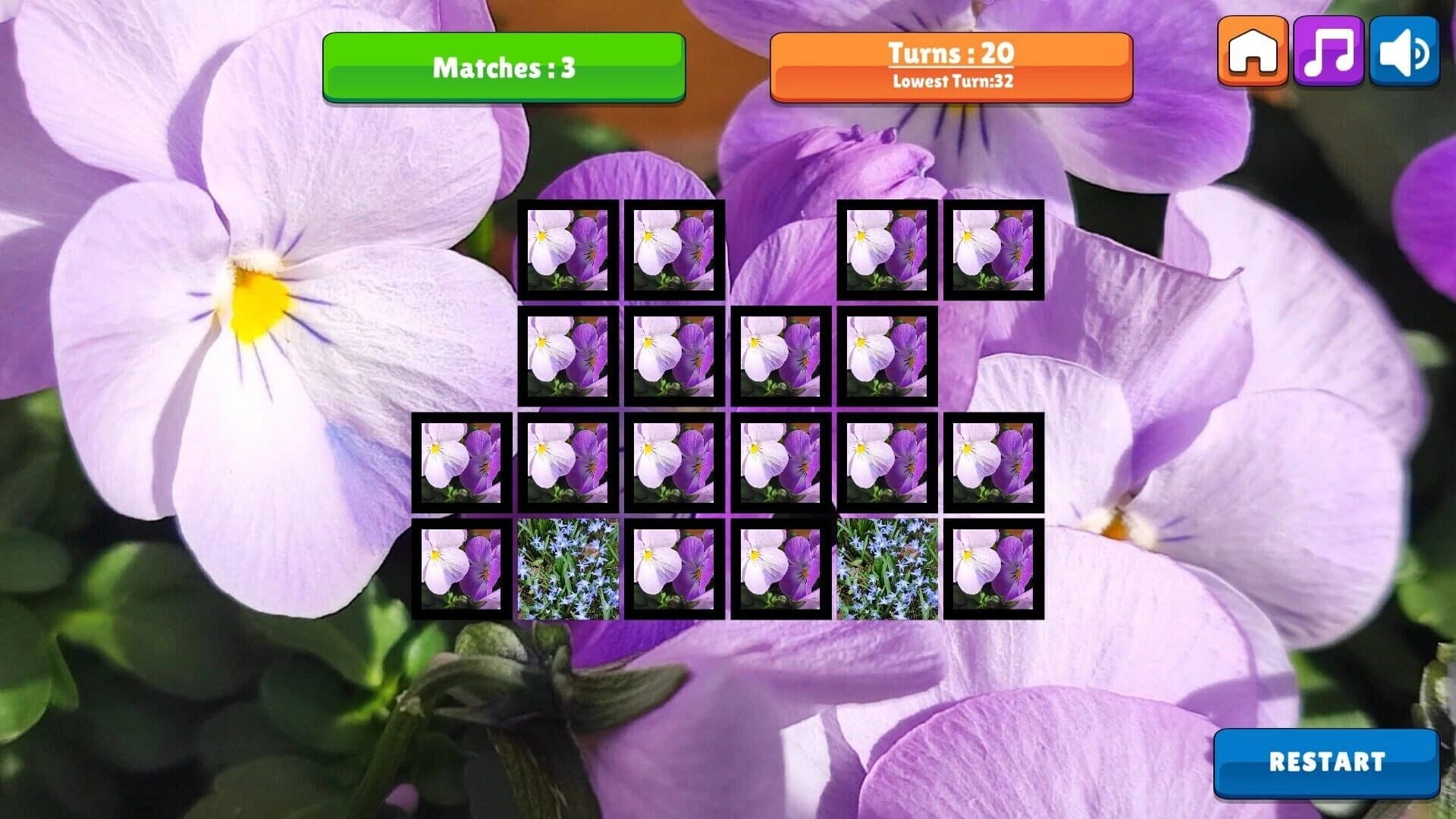 OG Memory: Spring 2K24 screenshot 2