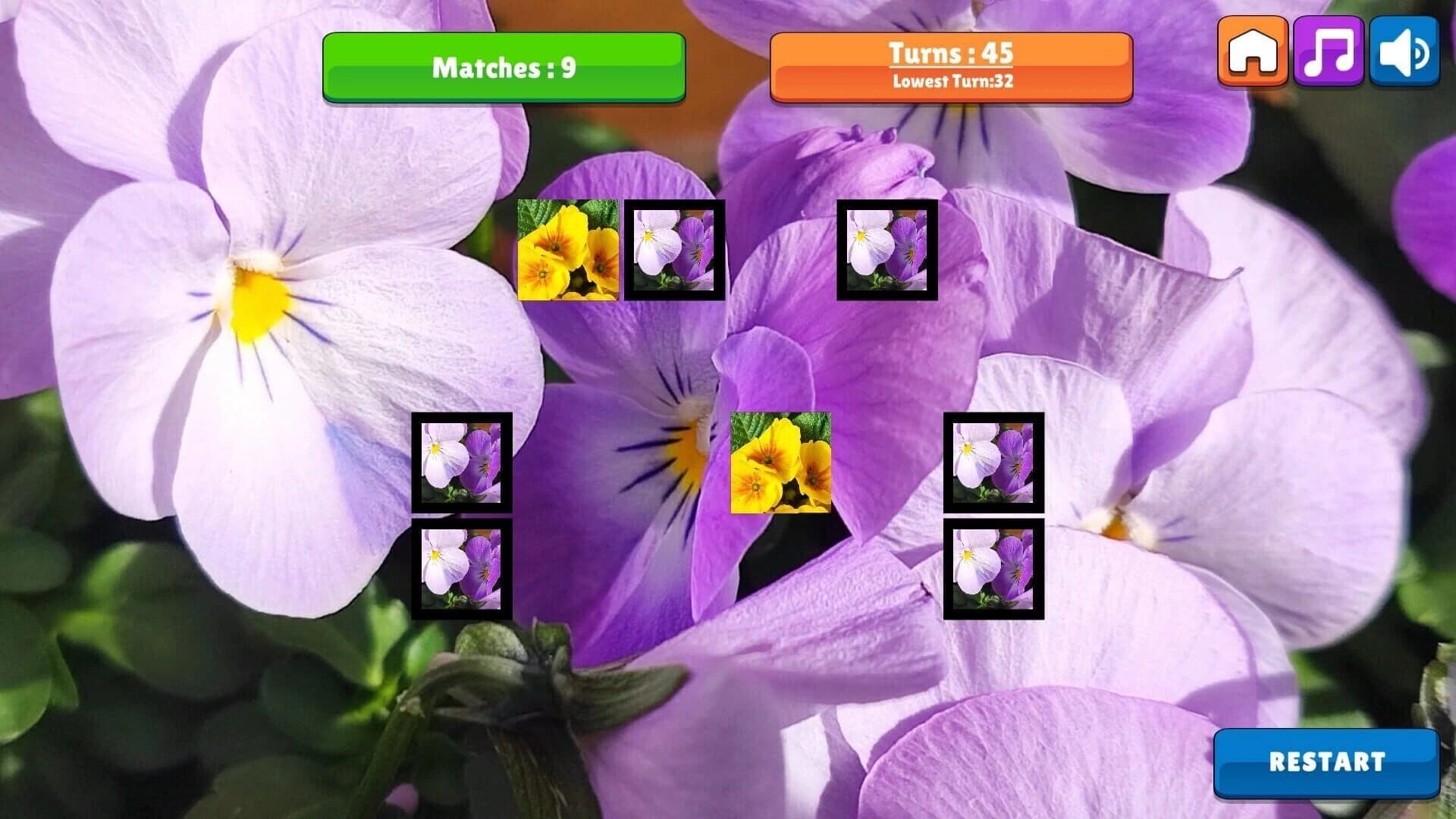 OG Memory: Spring 2K24 screenshot 4