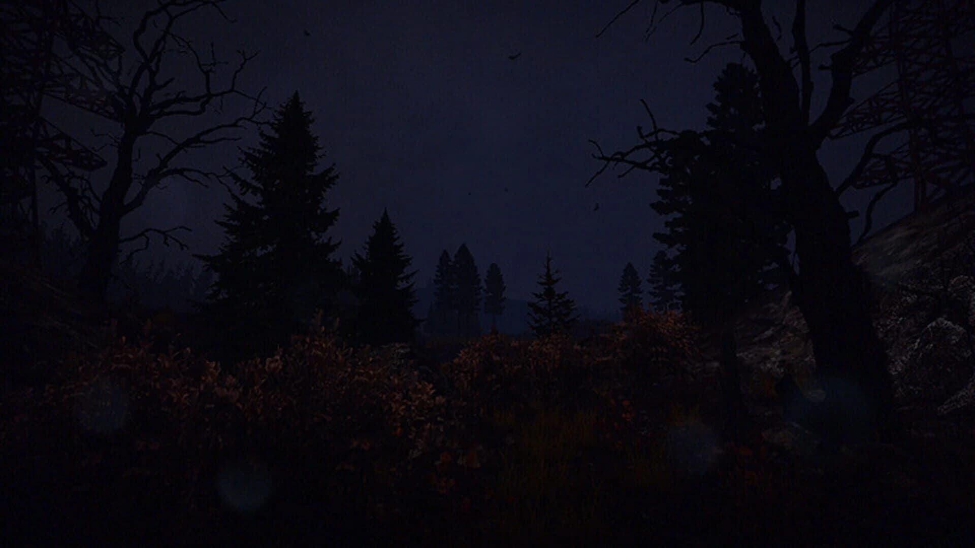Once First-Person Adventure screenshot 4