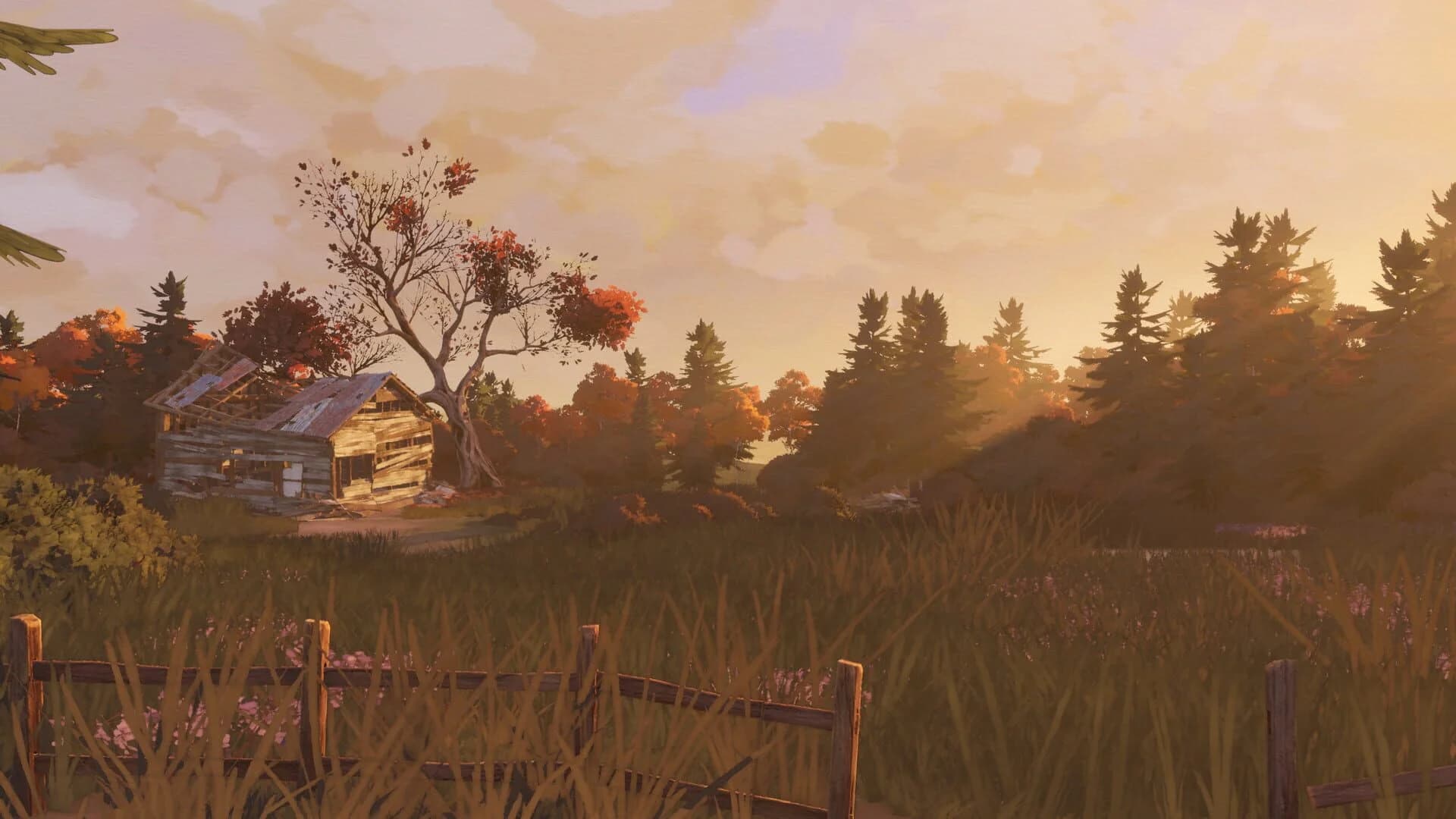Open Roads screenshot 4