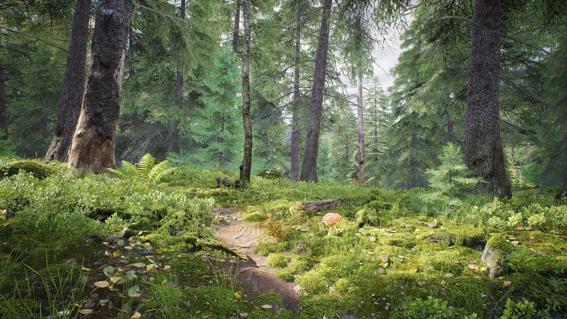 Out of the Woods screenshot 4