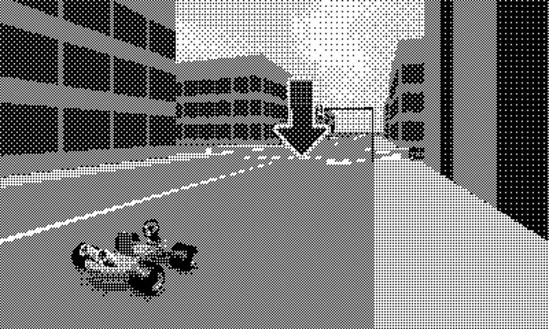 P-Racing screenshot 4