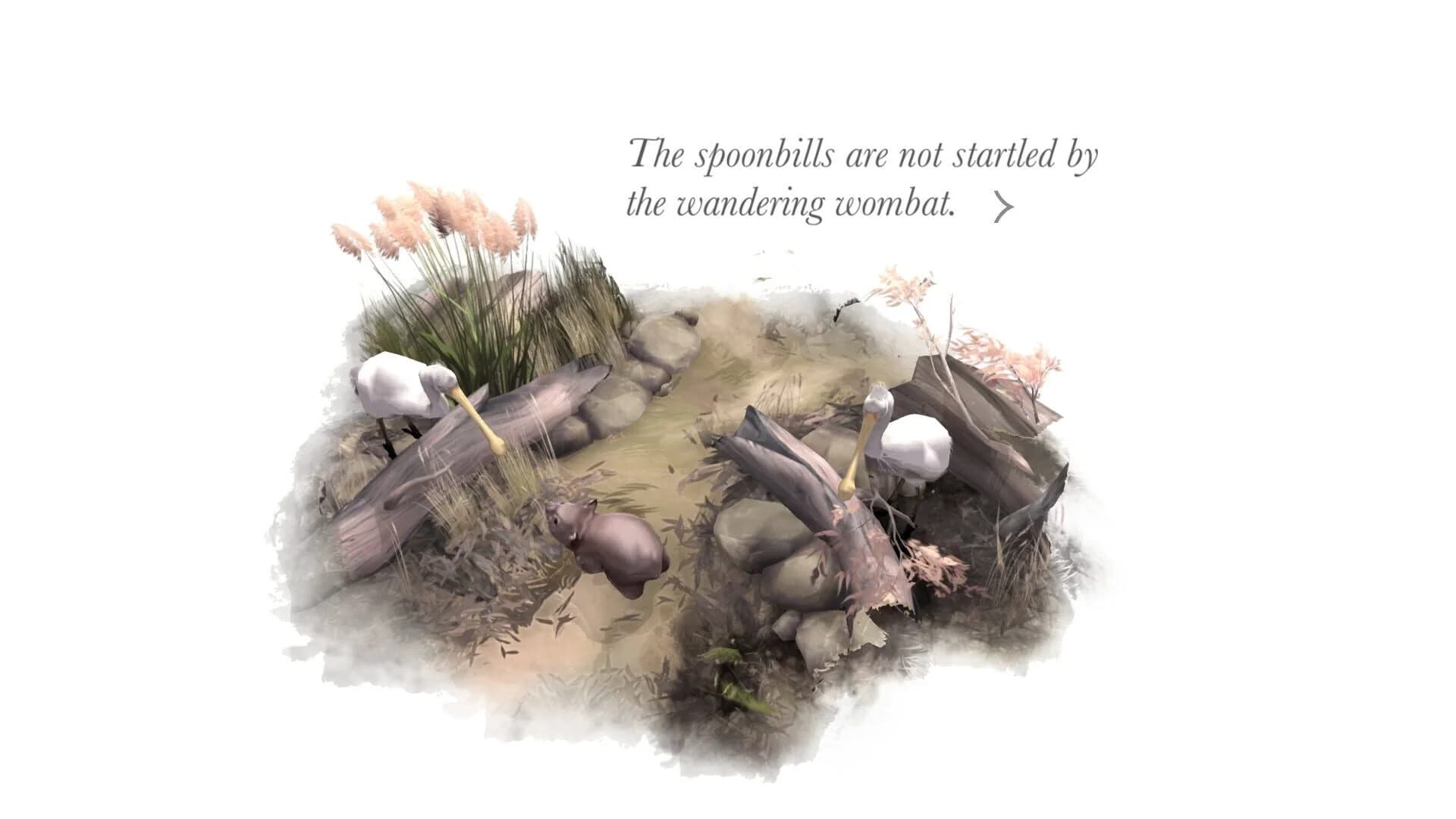 Paperbark screenshot 4