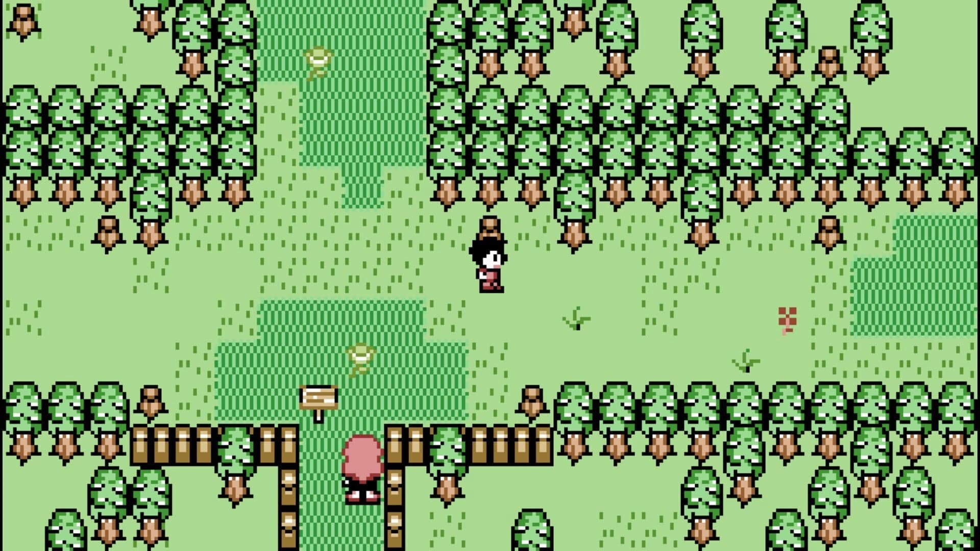 Paracreat screenshot 3