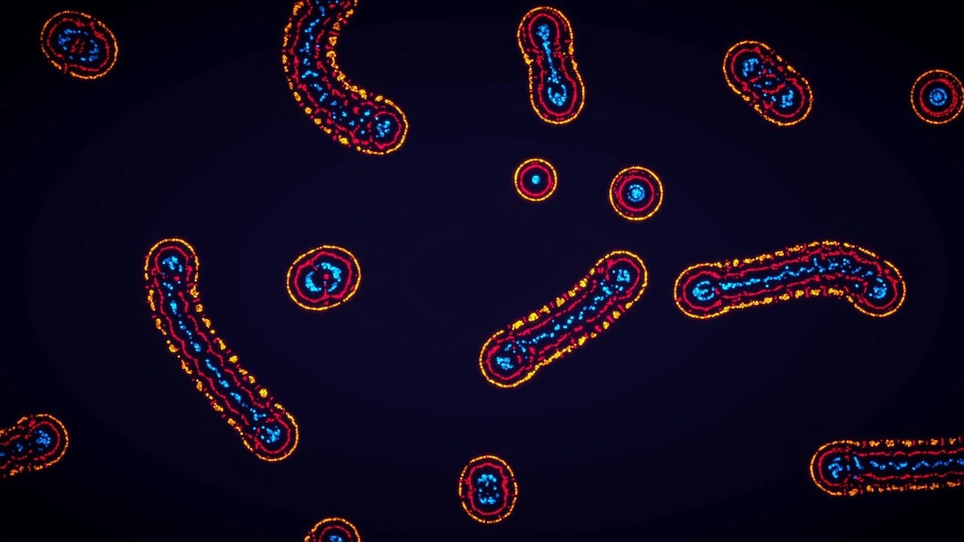 Parametric Creature: Lab screenshot 3