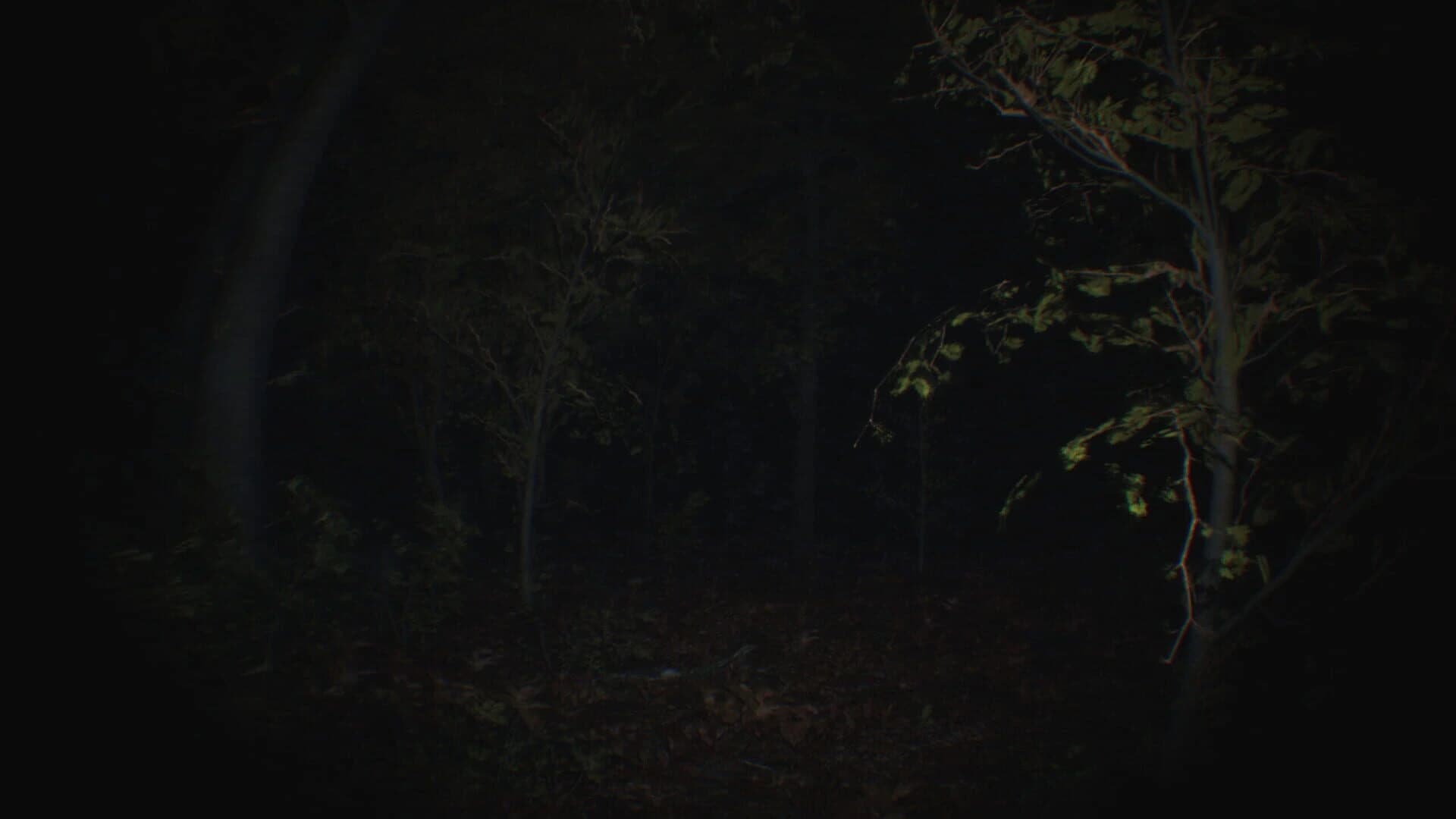 Paranormal Tales screenshot 1