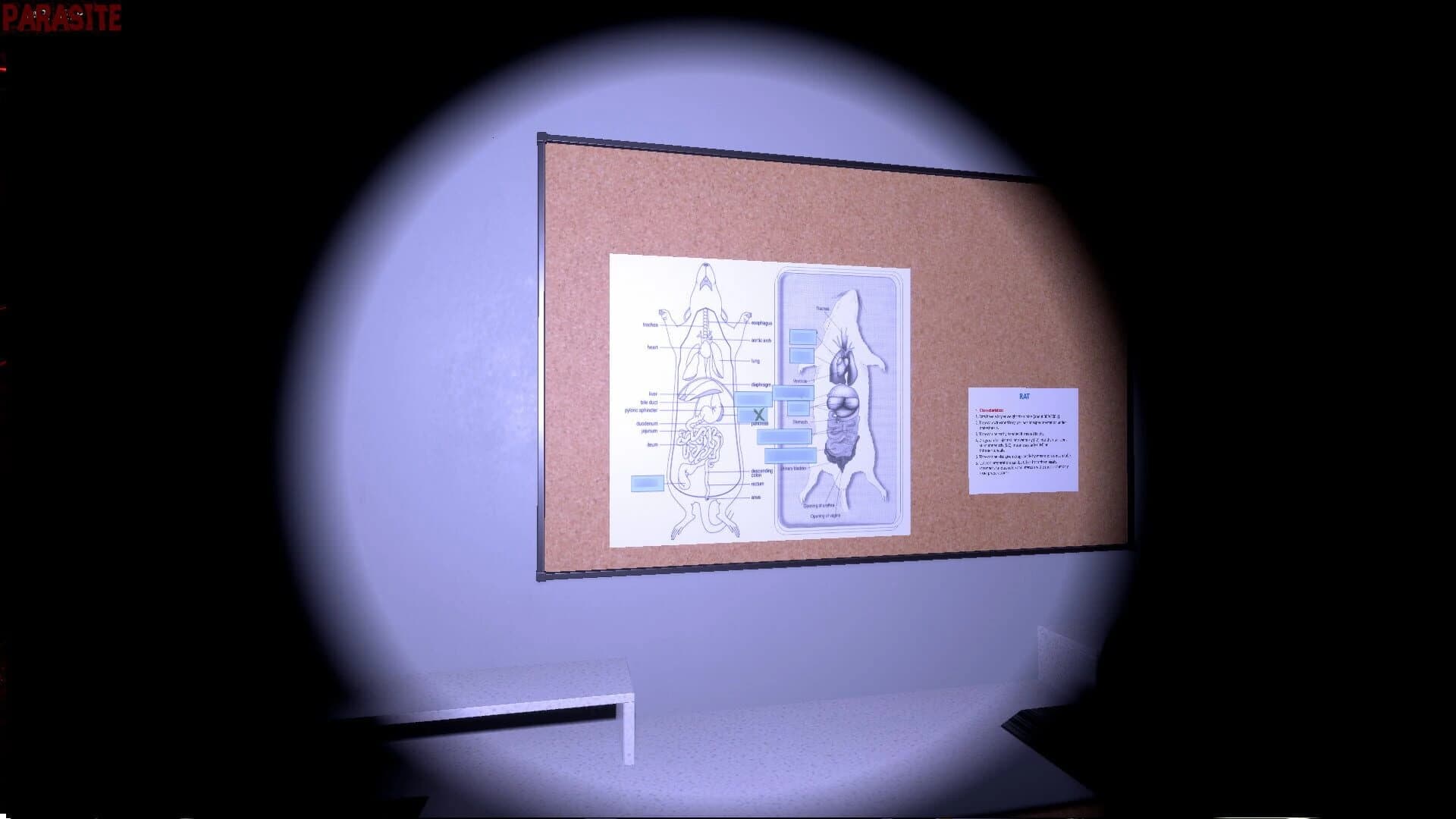 Parasite screenshot 4