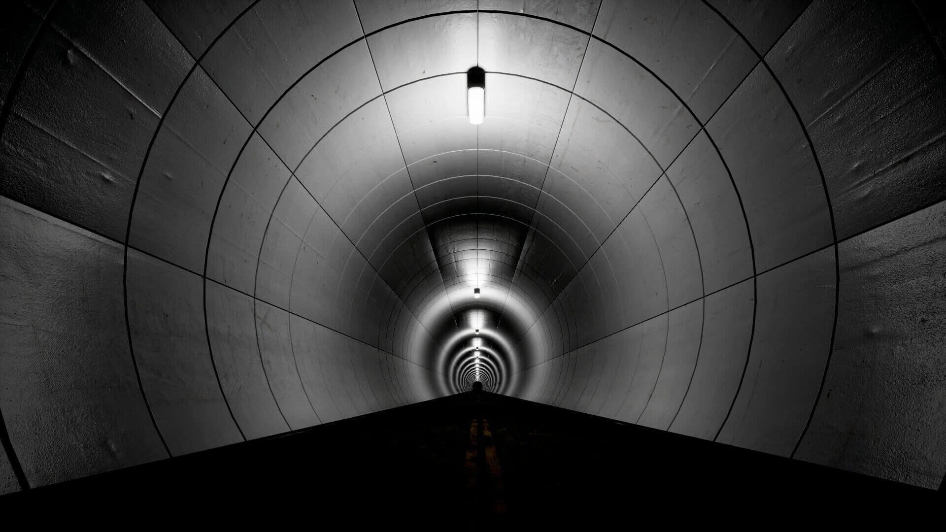 Parasite Tunnel screenshot 2