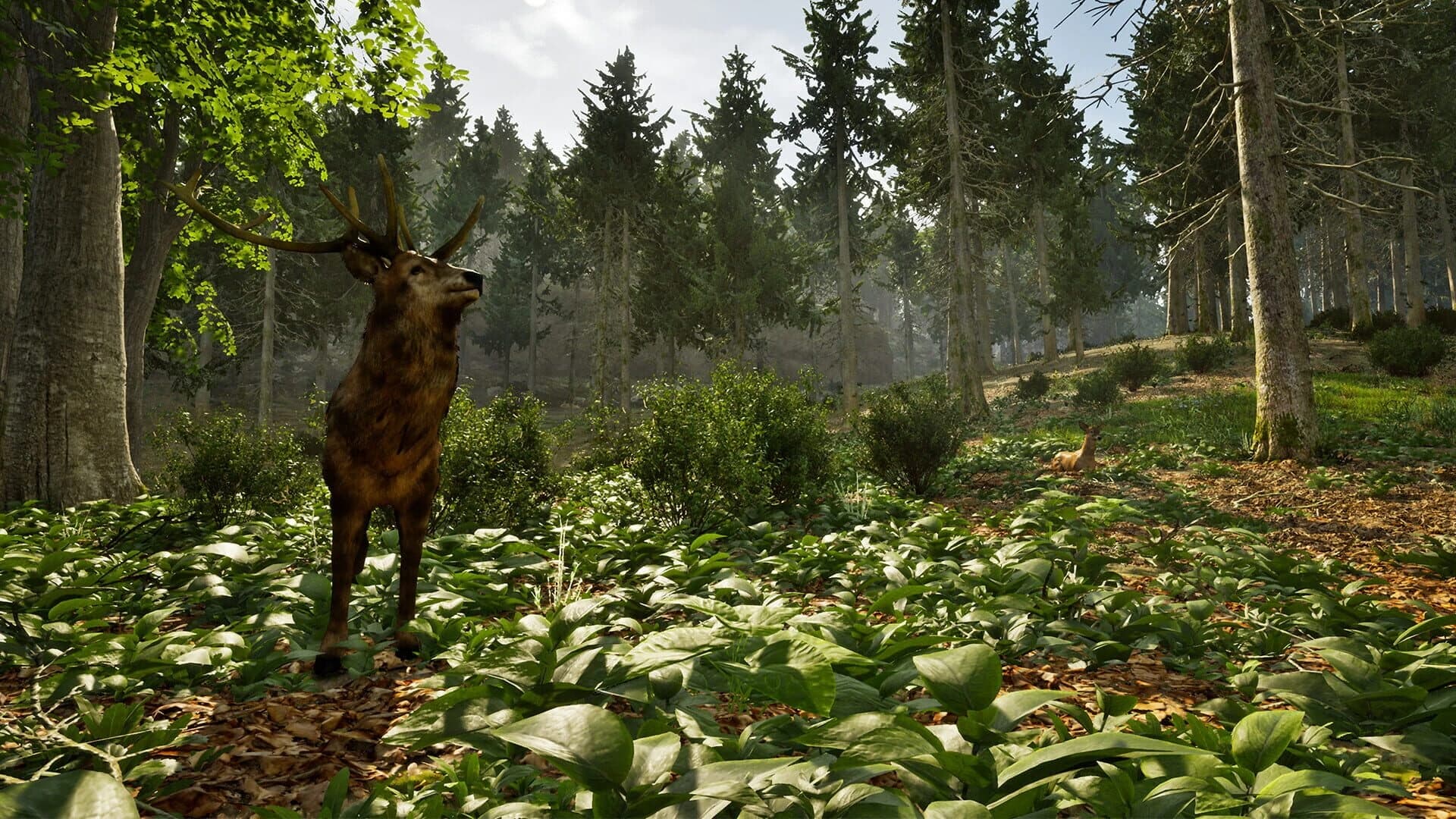 Park Ranger Simulator screenshot 2