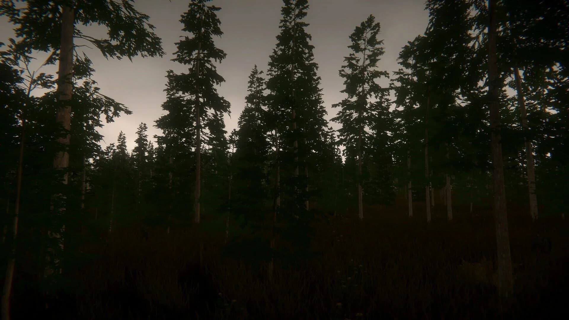 Pastor's Lake: The Game screenshot 4