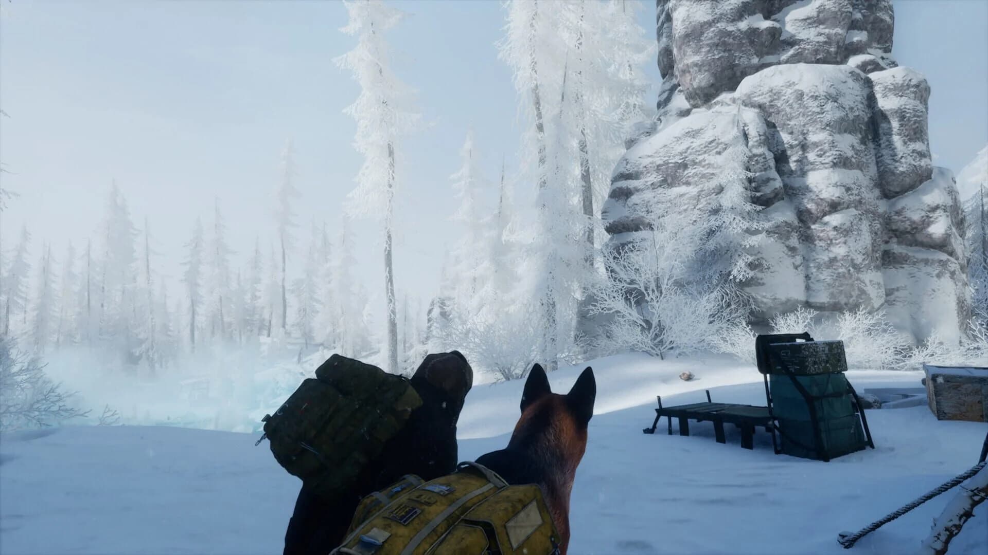 Permafrost screenshot 6