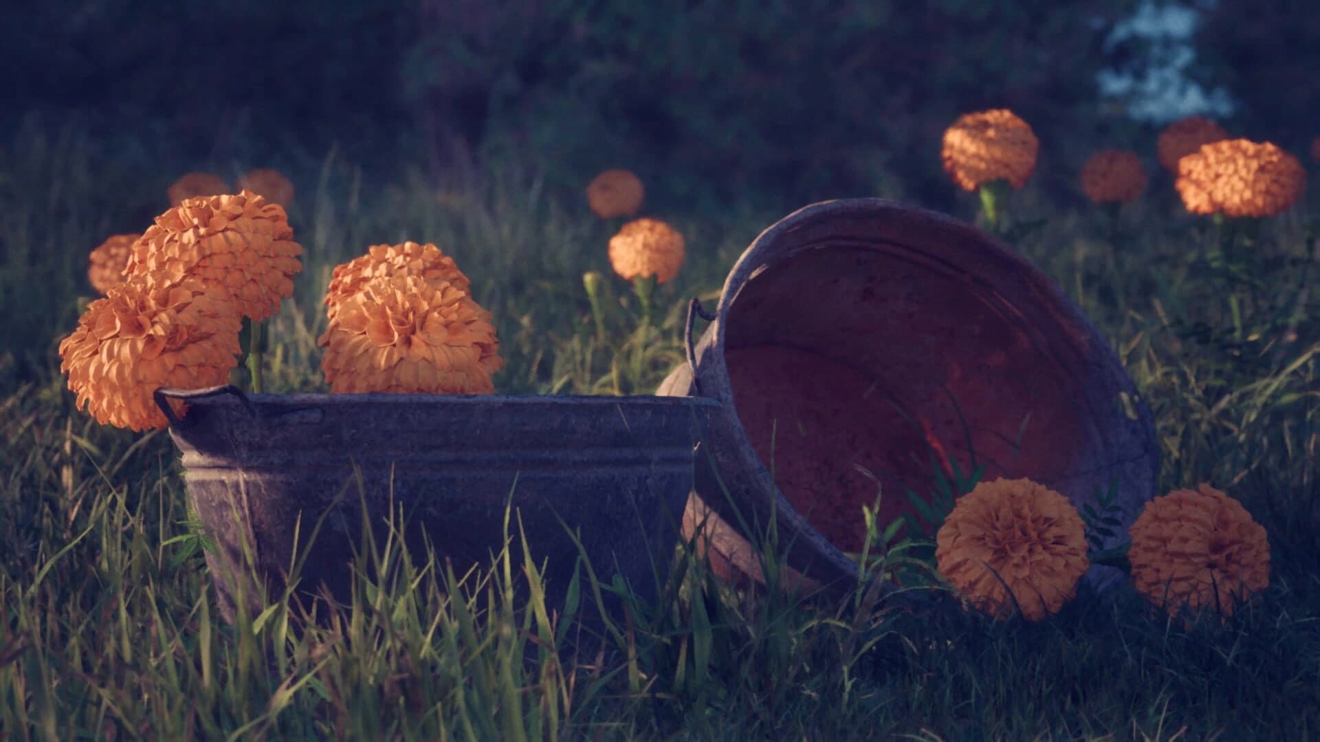 Petals screenshot 2