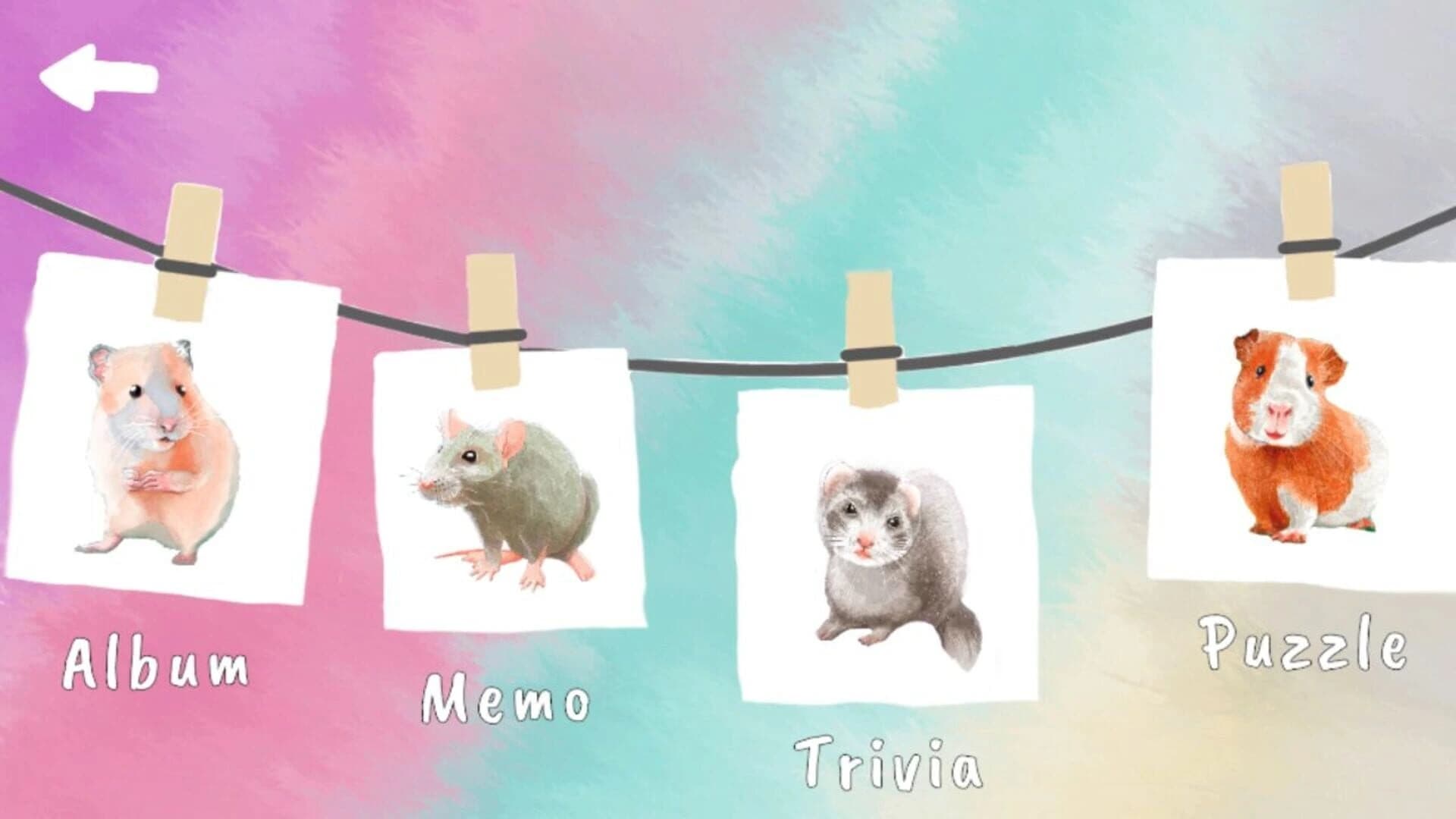 Pets and Friends: Cuties Bundle screenshot 5