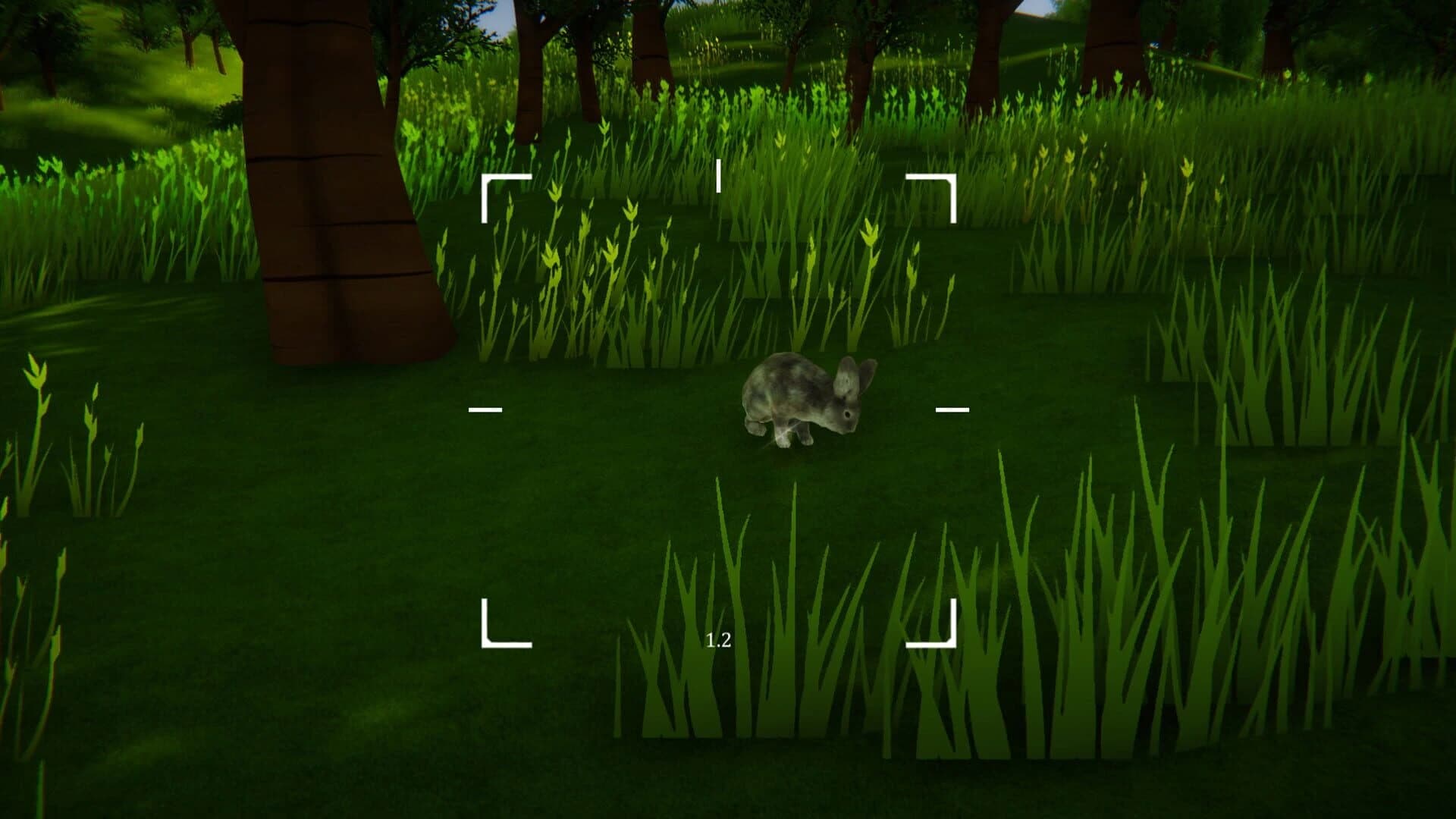 Pictura screenshot 5