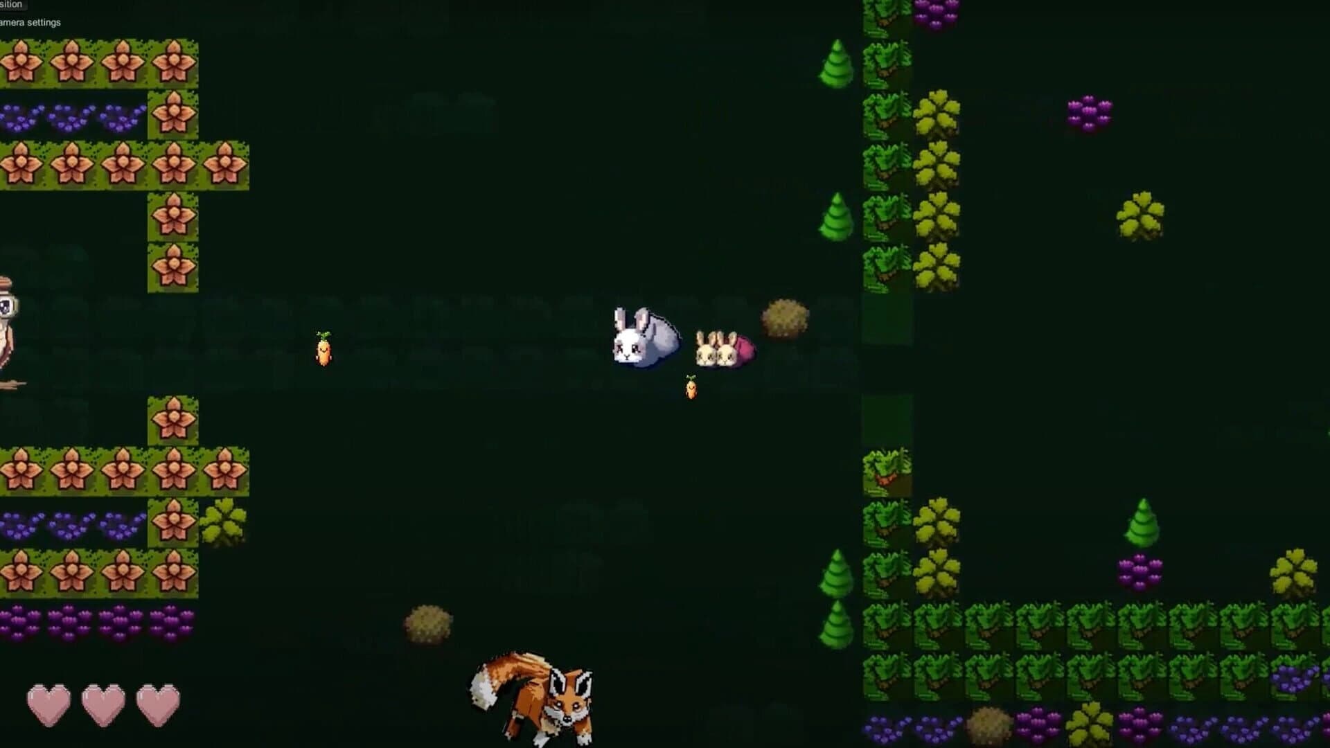 Pippin's Mysterious Garden screenshot 2