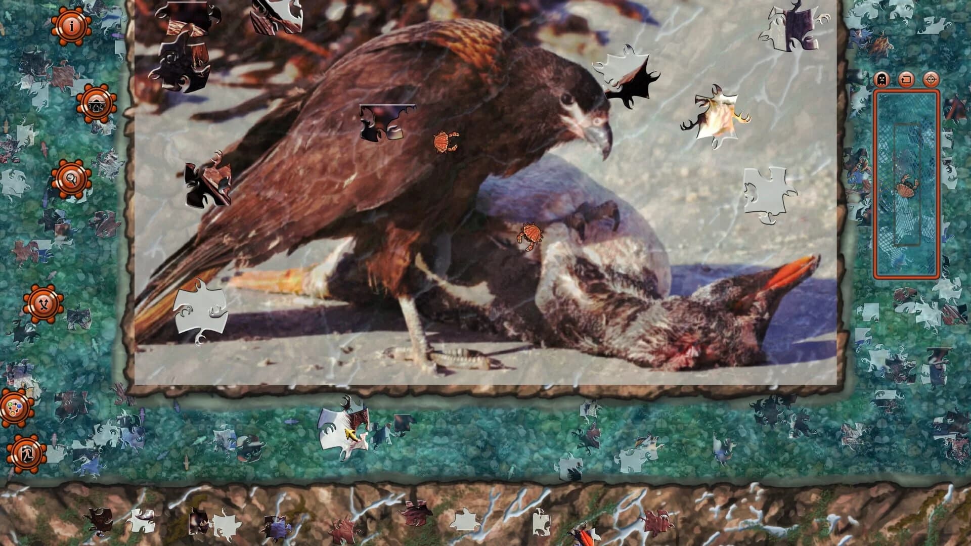 Pixel Puzzles 2: Birds screenshot 4