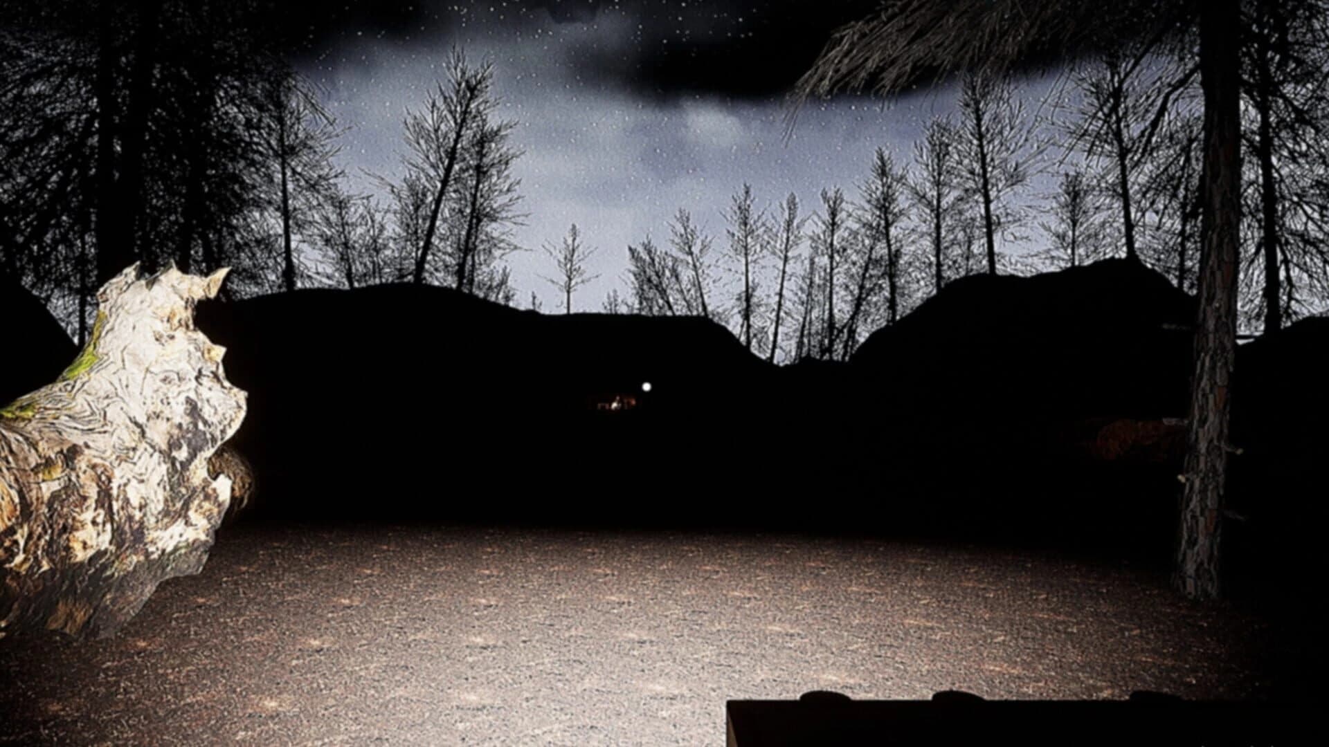Pizza Delivery: Zebaxx screenshot 4