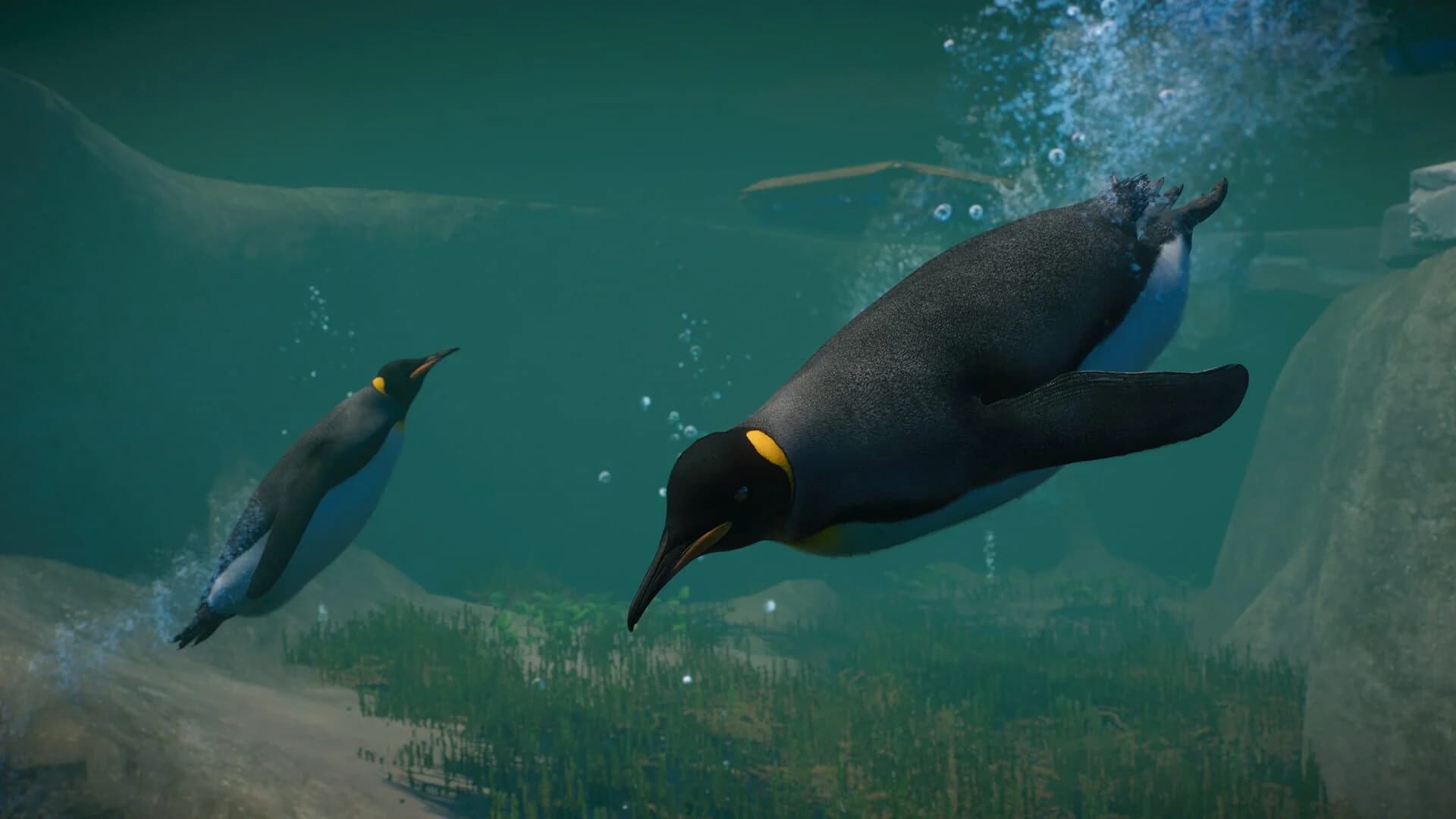 Planet Zoo: Aquatic Pack screenshot 2