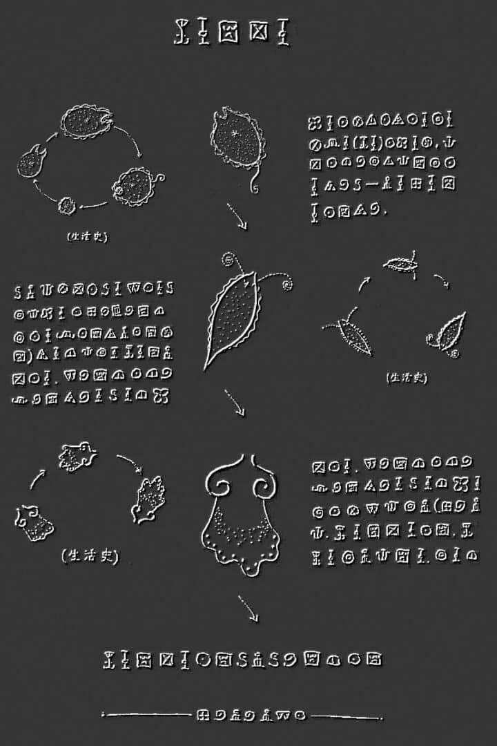 Plankton screenshot 2