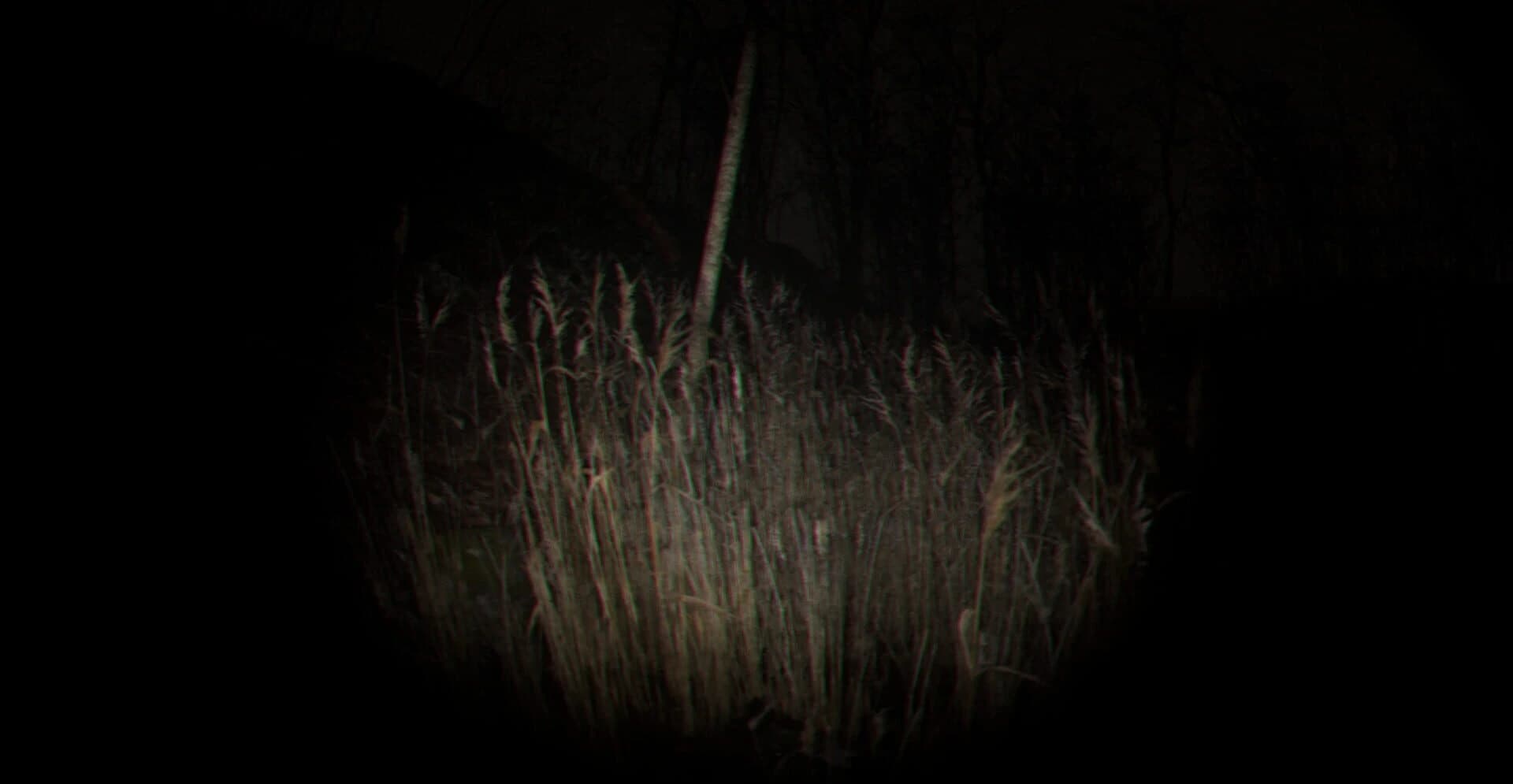 Playback Trauma: The Dog screenshot 5